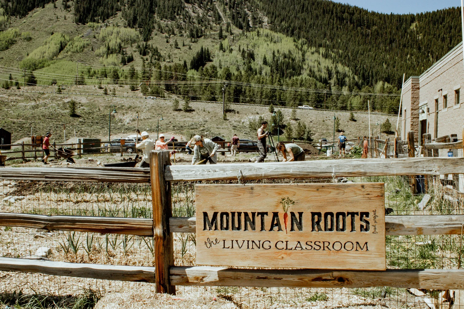 School Gardens — Mountain Roots Food Project