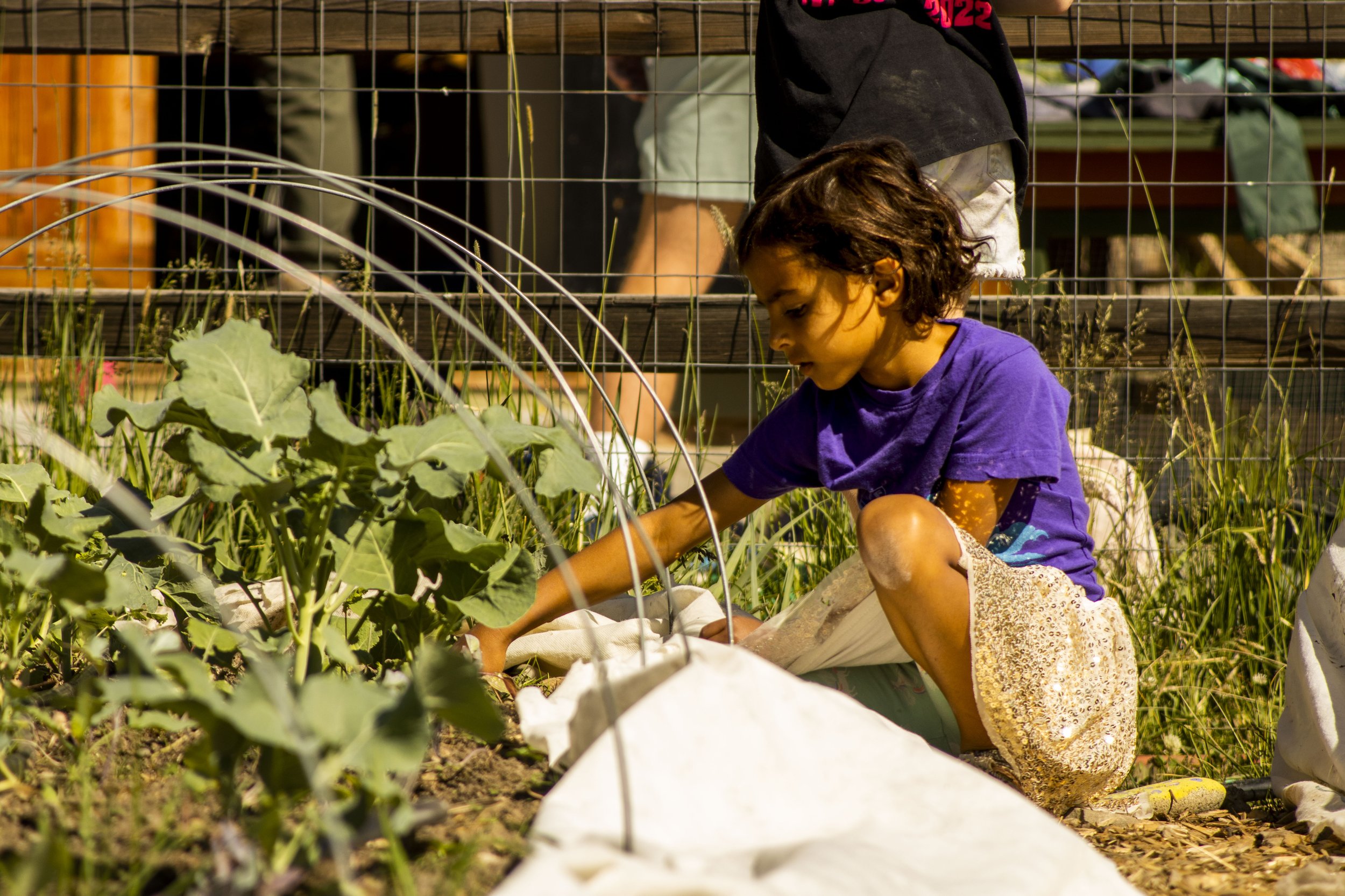   Farm to School  