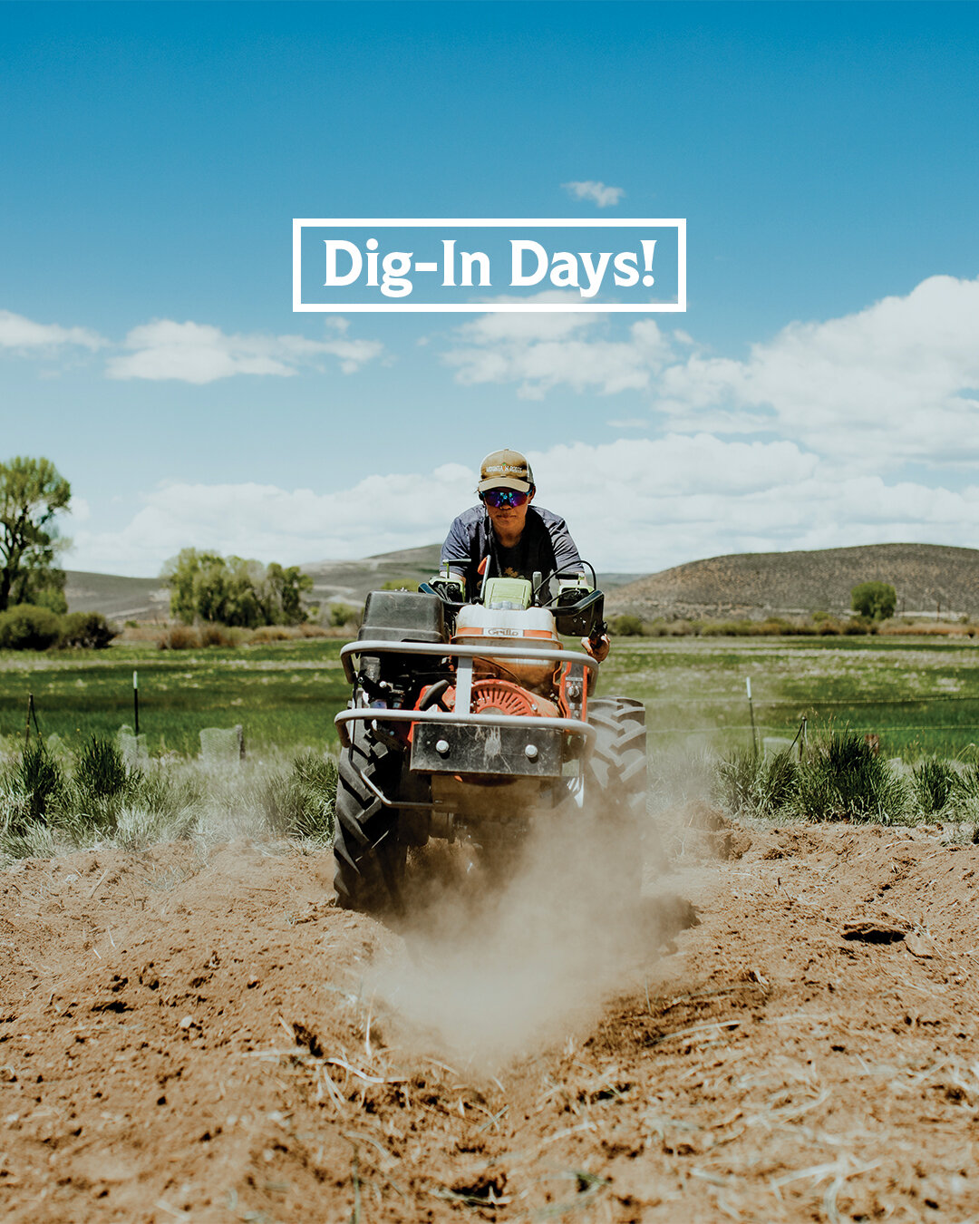 Dig-In Days start this Sunday! Come join the Mountain Roots team and other wonderful volunteers at the Giving Garden at Bills Park (310 N 14th St, Gunnison) this Sunday from 1 - 4 PM to help us open up our gardens. 

Gardening, a delicious meal, and 