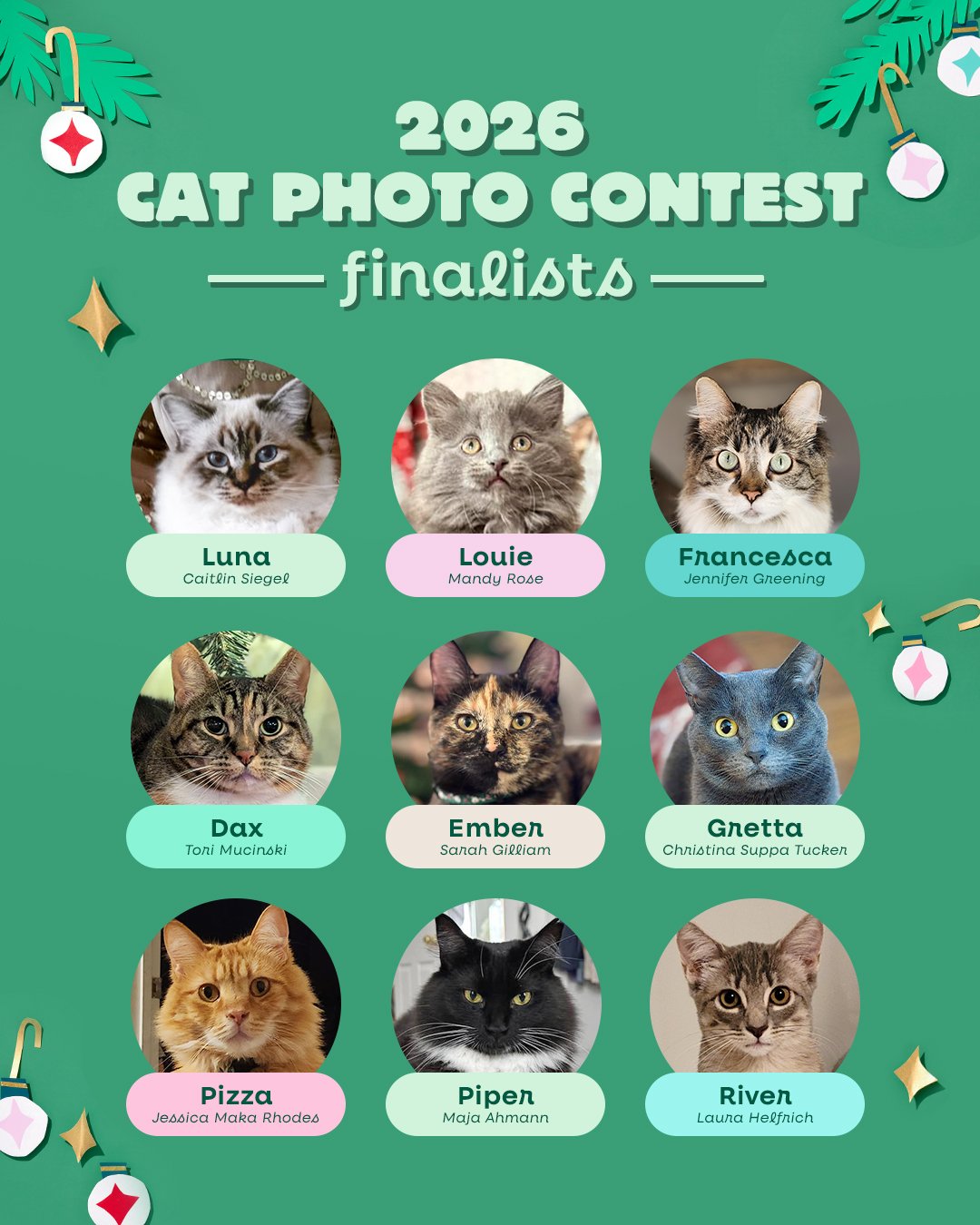 01-24-POST-CatContestFinalists.jpg