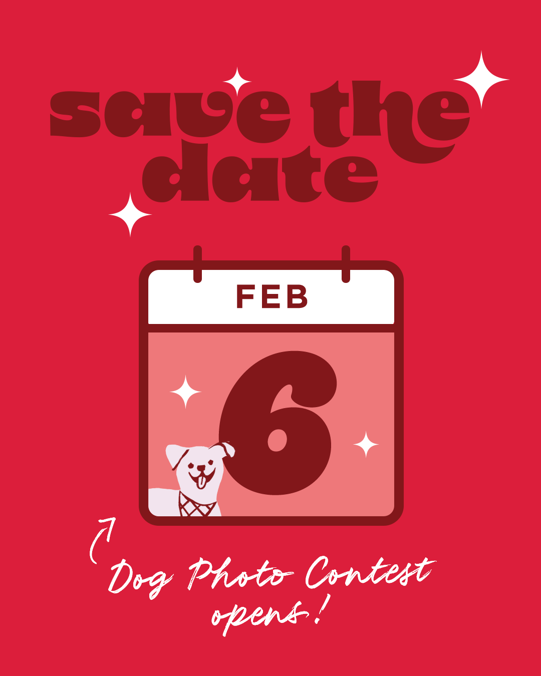 02-01-DogContest-STD.png