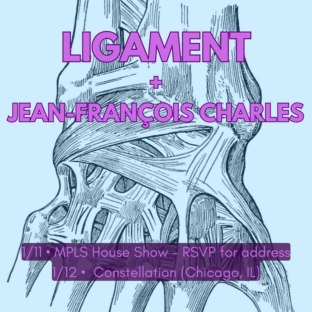 Flannau Duo/LIGAMENT+Jean-François Charles