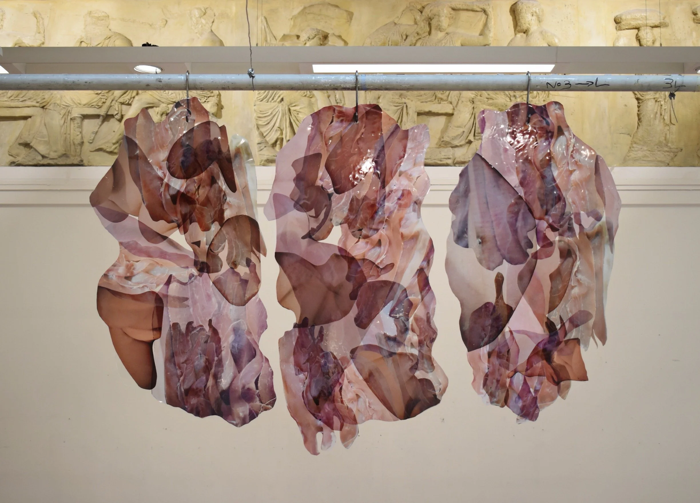 AdditionalWork3_GrowingPains_100x140cm_AcetatePrintsOnAcrylicPanes&MeatHooks (1).JPG