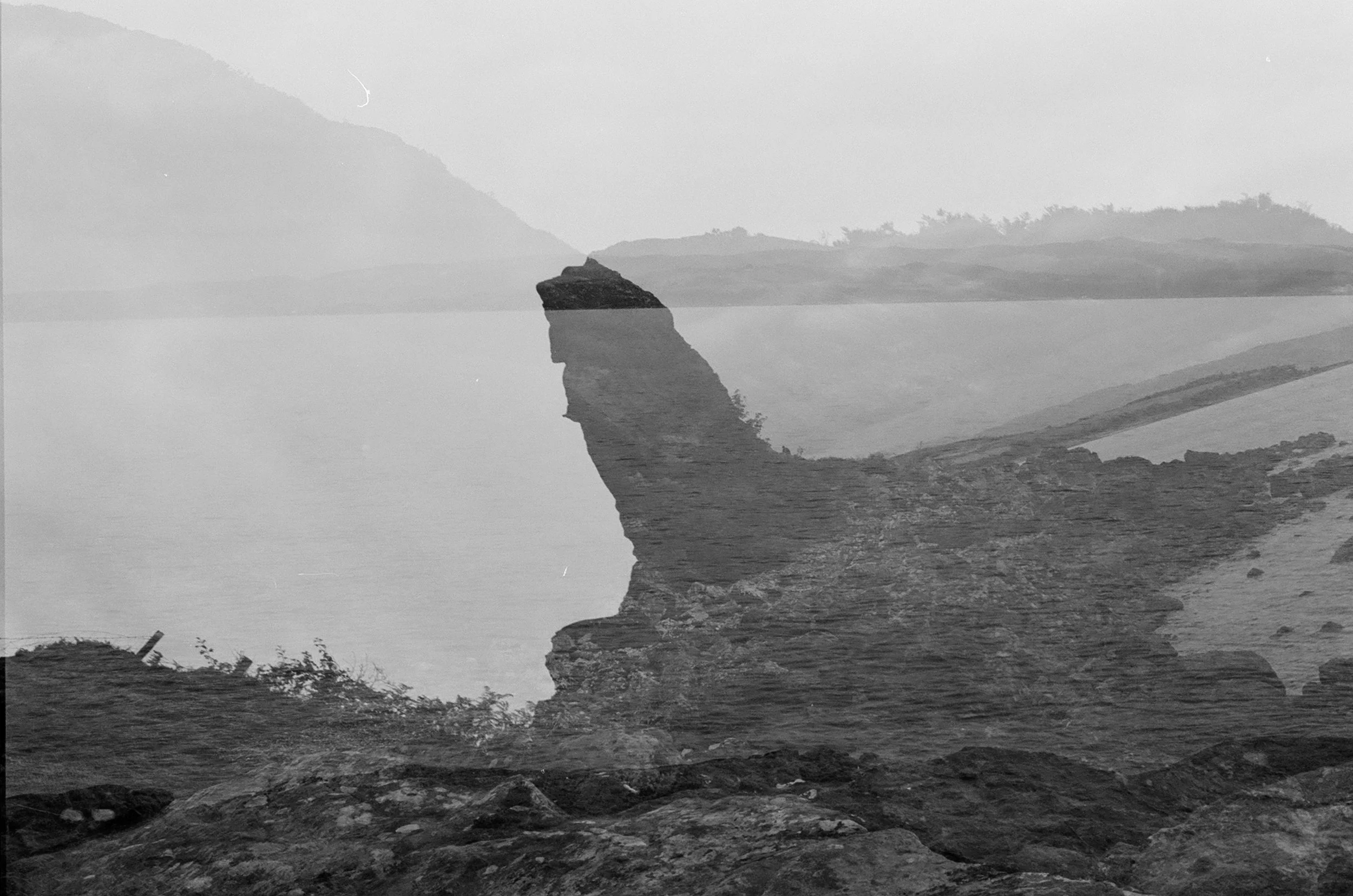 image-asset.jpg