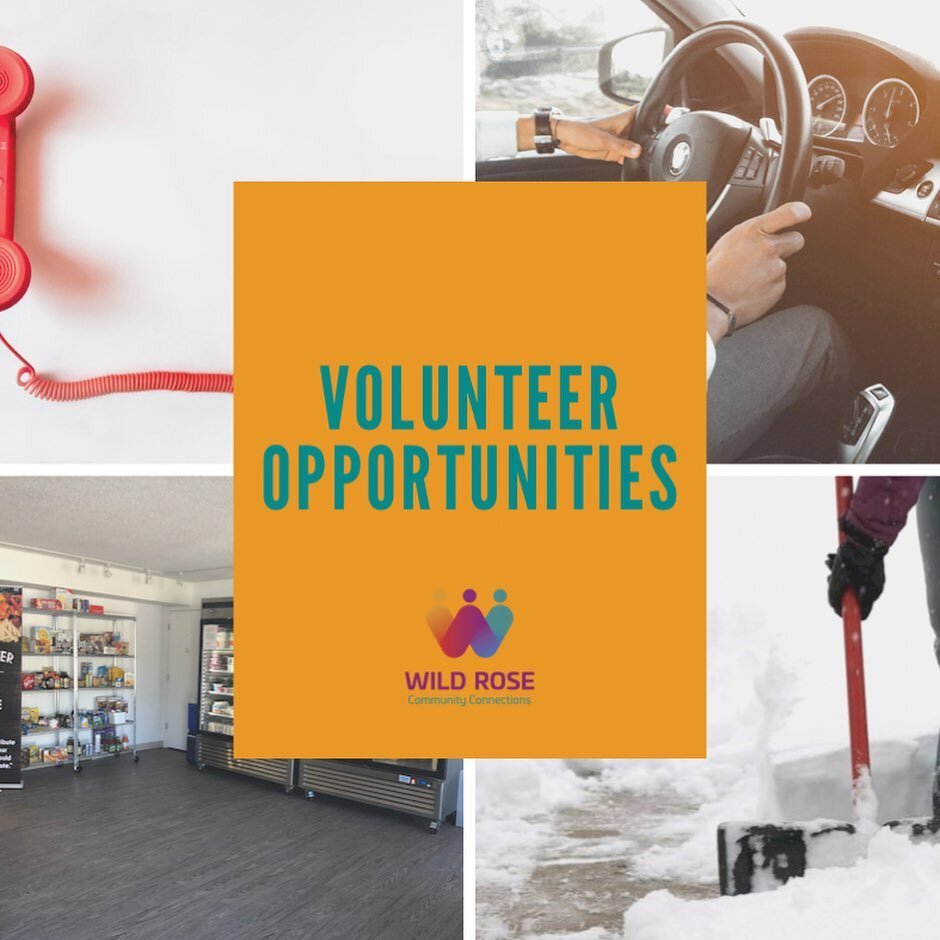 Volunteer with us! We are seeking amazing individuals like you. Some opportunities have become more prevalent with the current economic situation and some we look forward to having you trained and ready to go as things change! See details below. Look