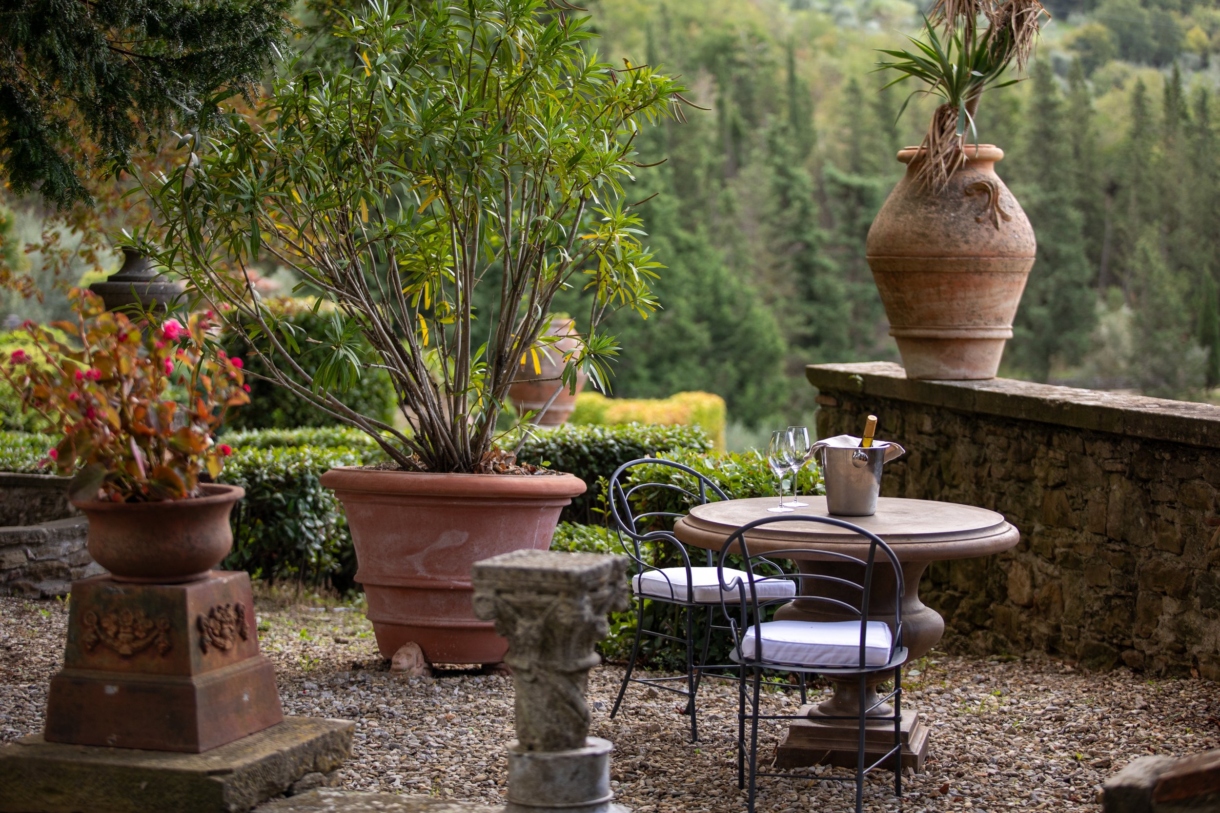 Table 2 oleander.jpg