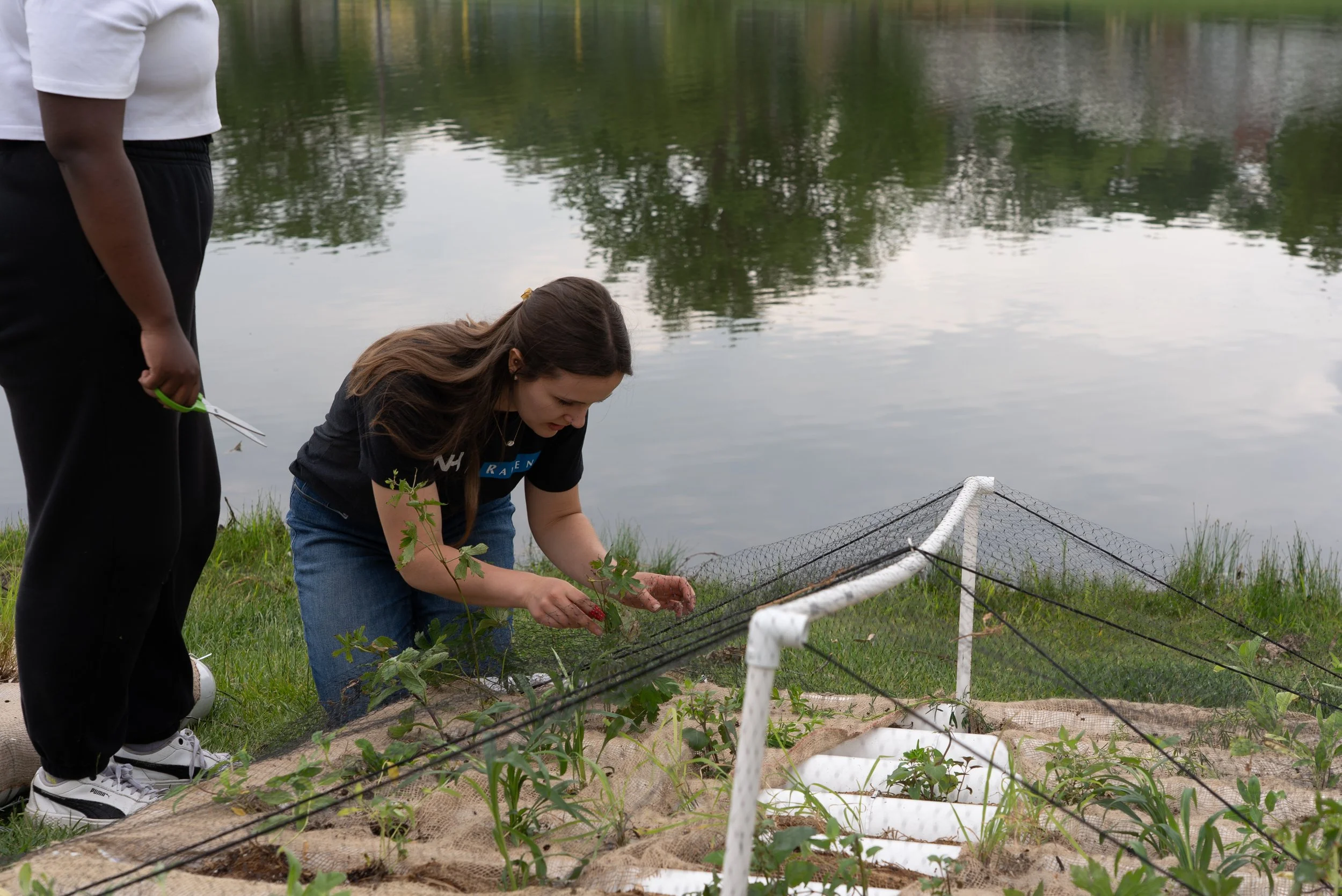Placing Bird Netting on an Island