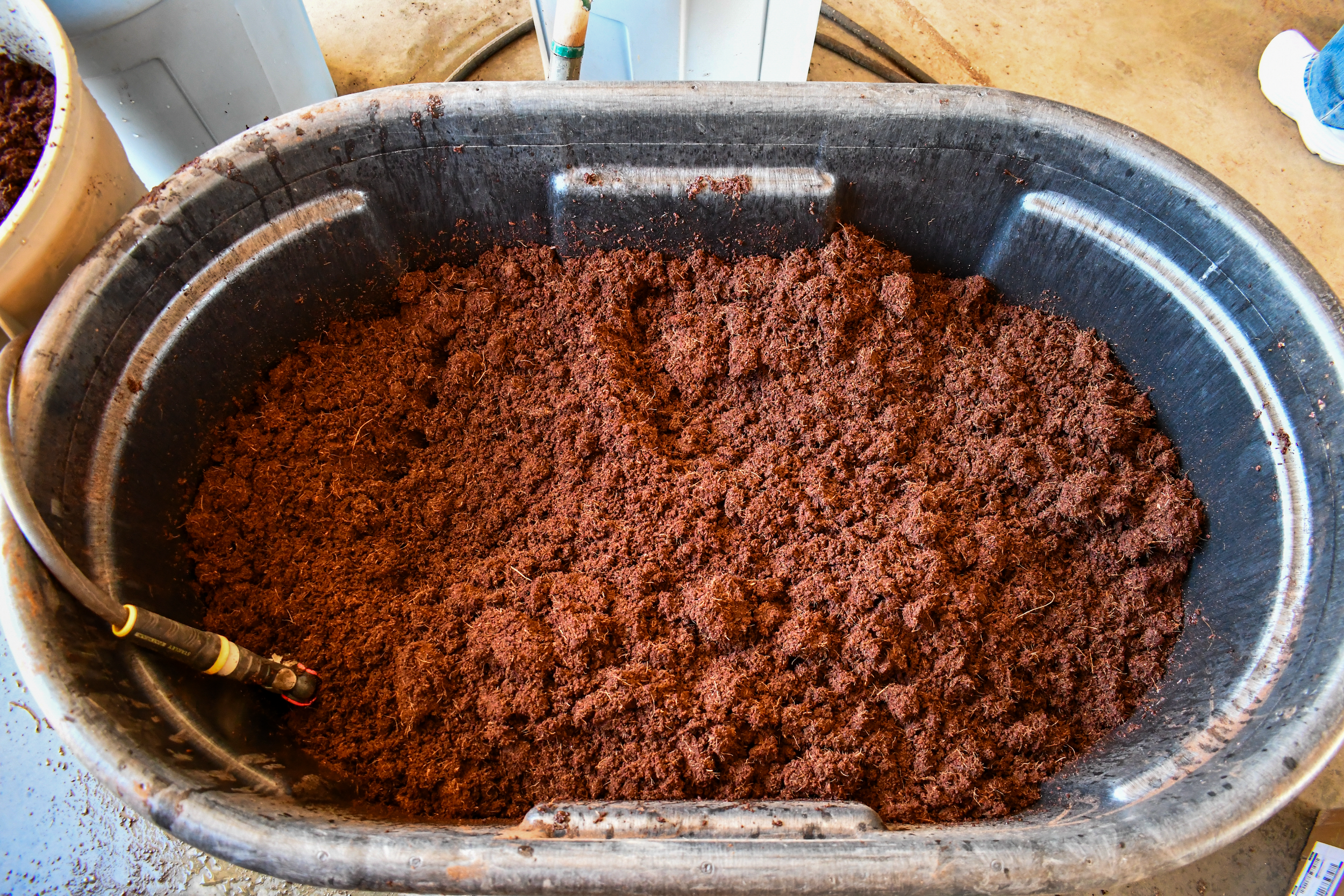 Preparing the Coco Coir