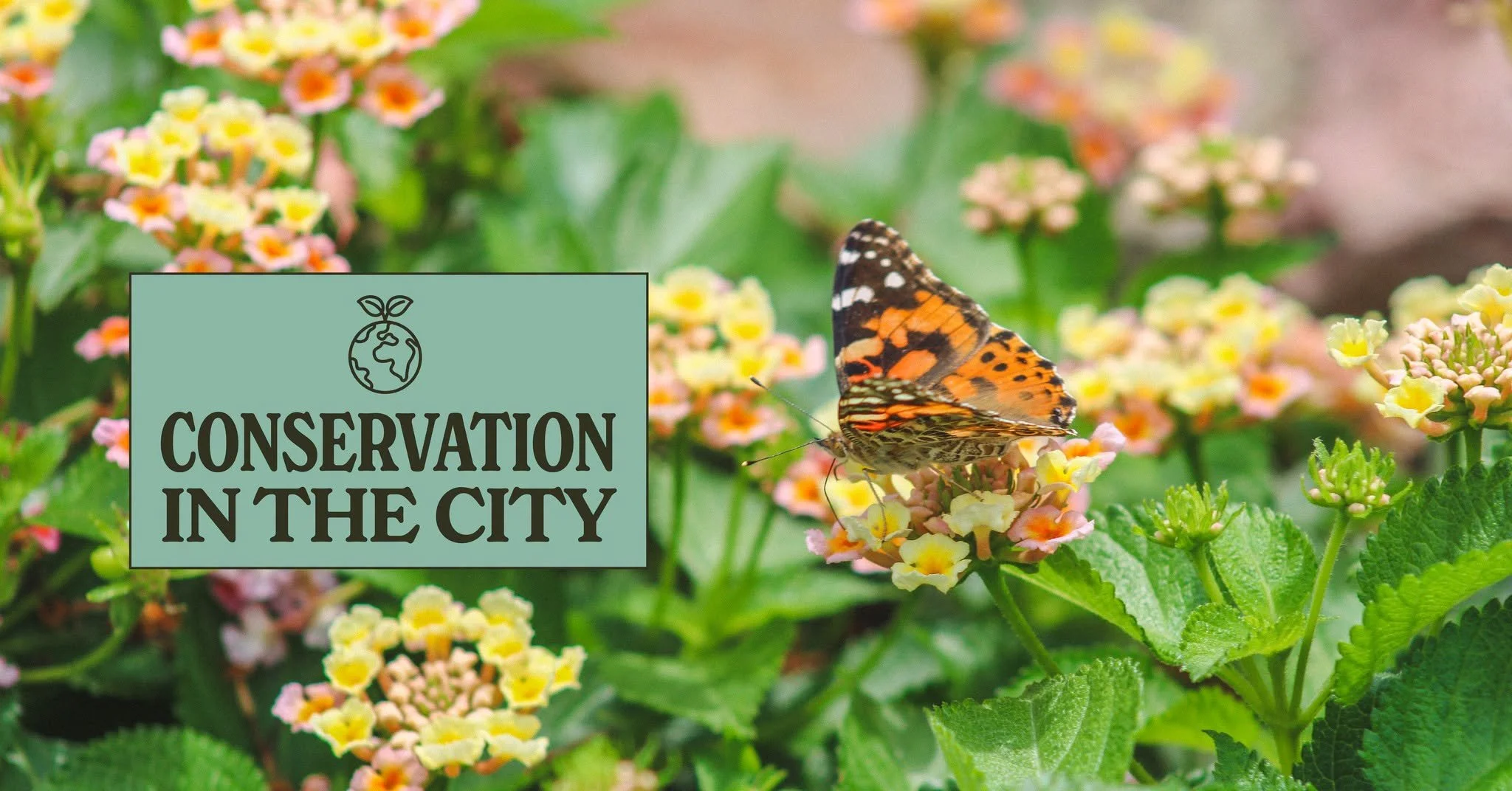 Conservation in the City