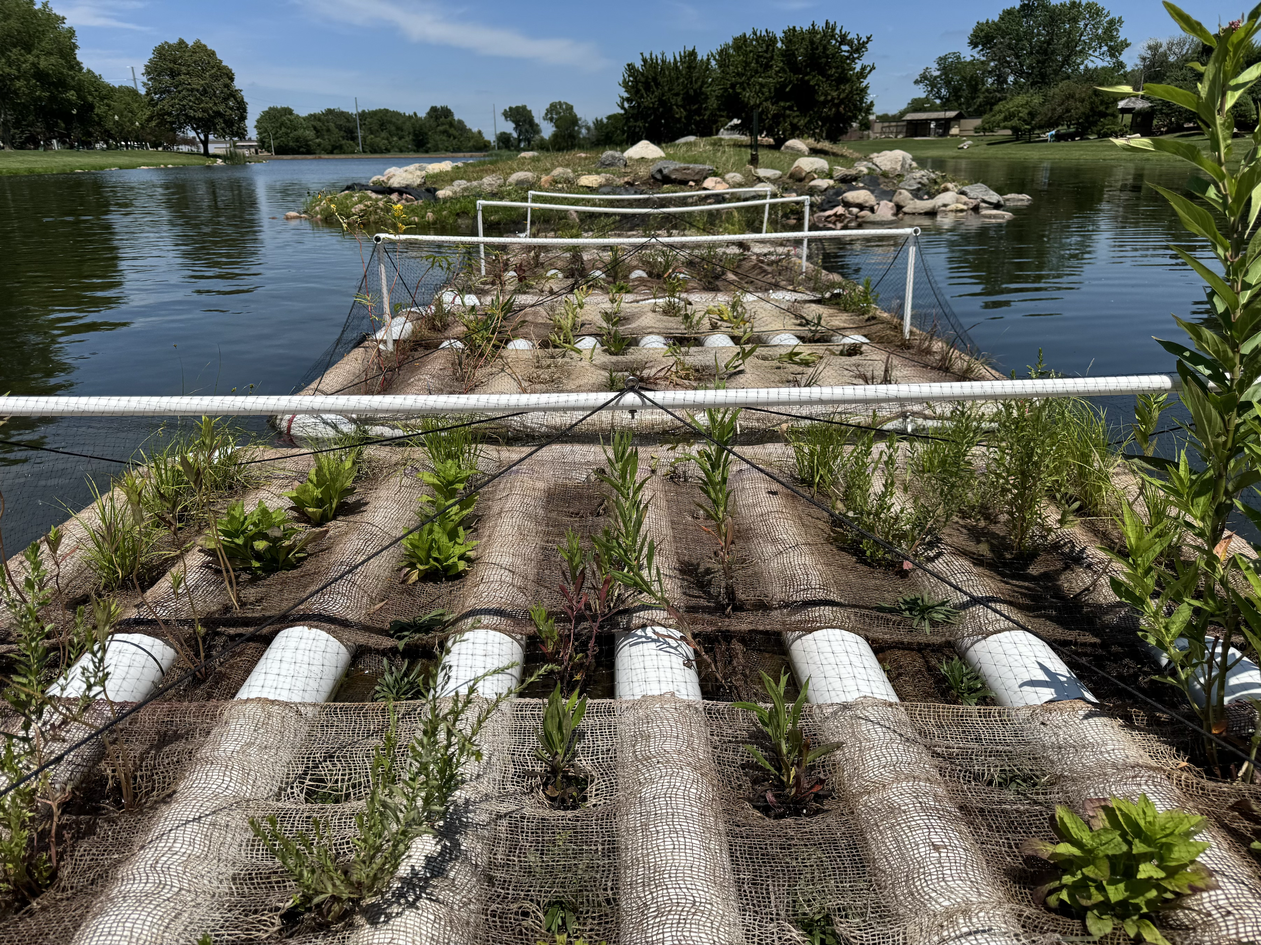 Plant Growth as of June 27, 2025