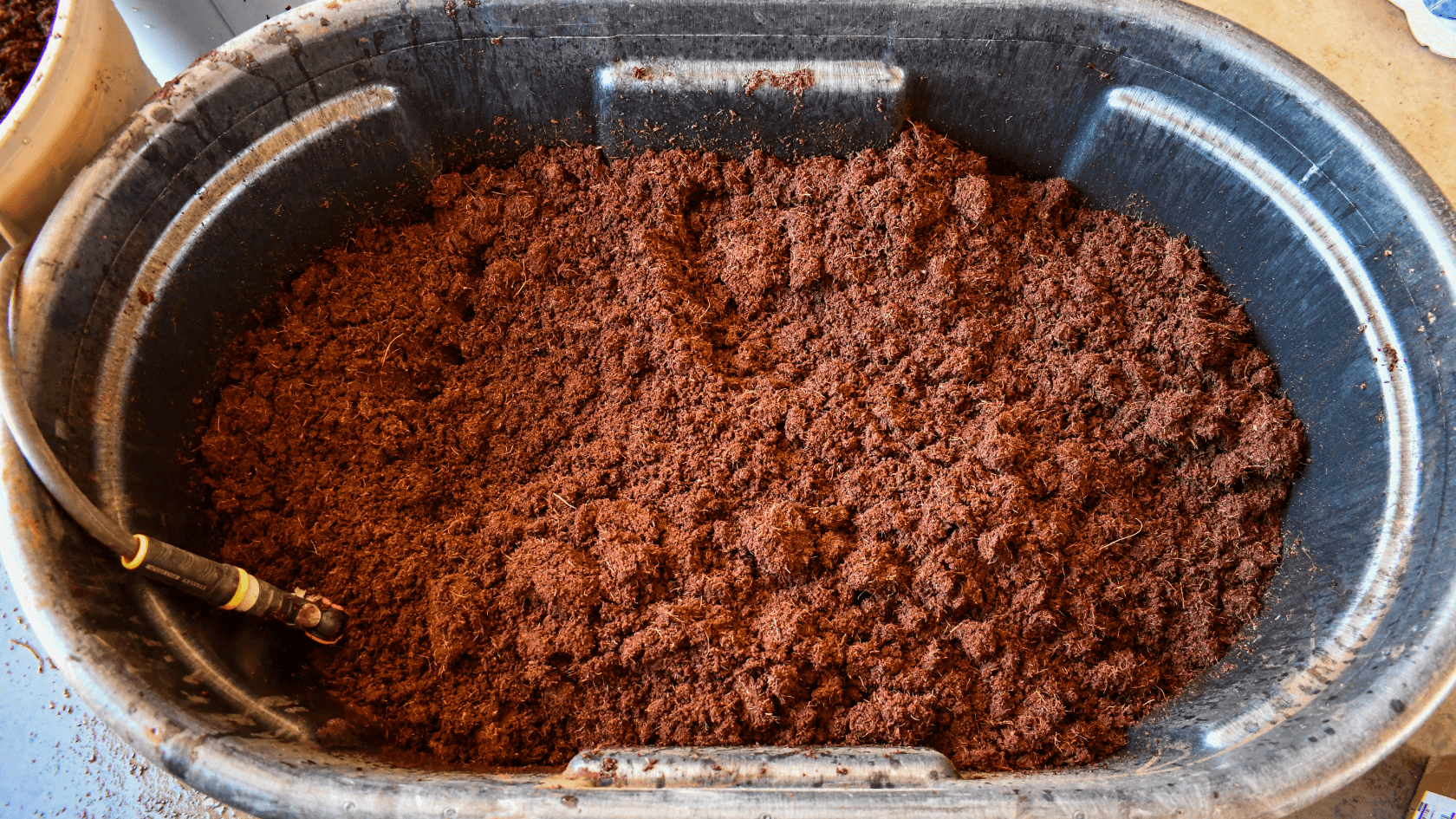 Preparing the coco coir