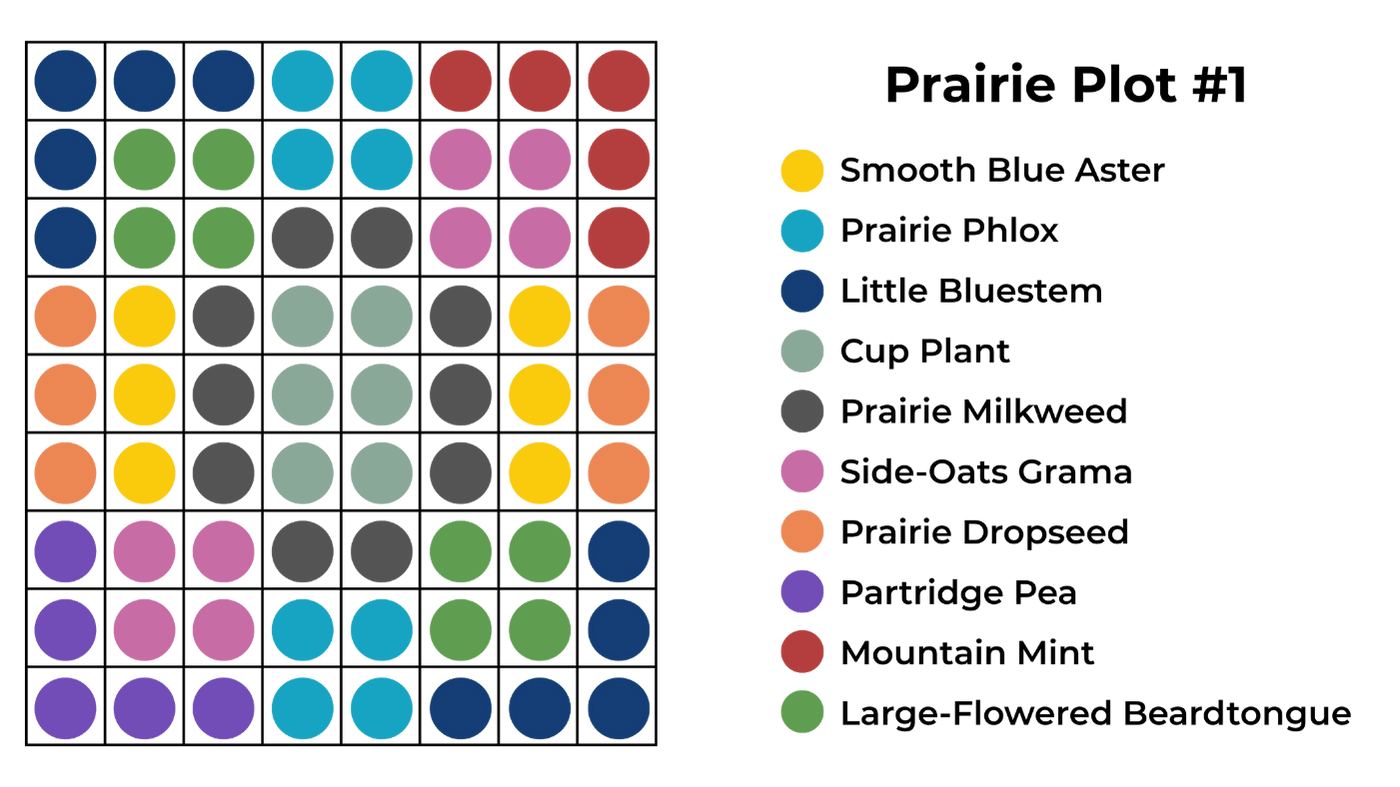 prairie plot 1 (1).png