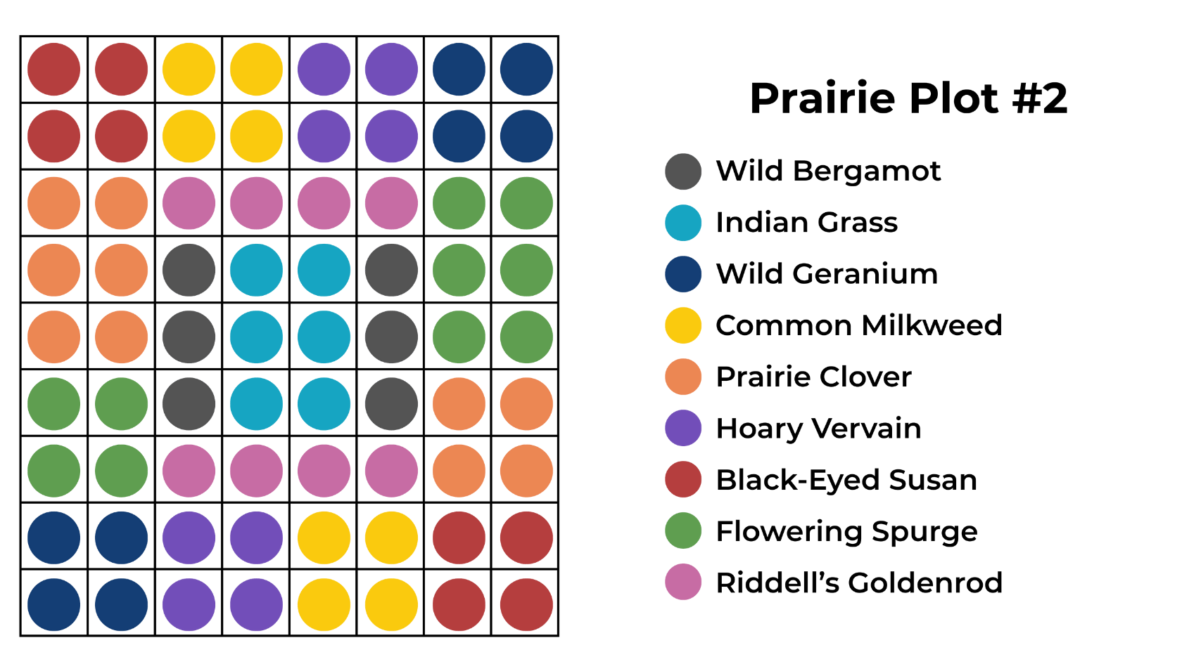prairie plot 2 (1).png