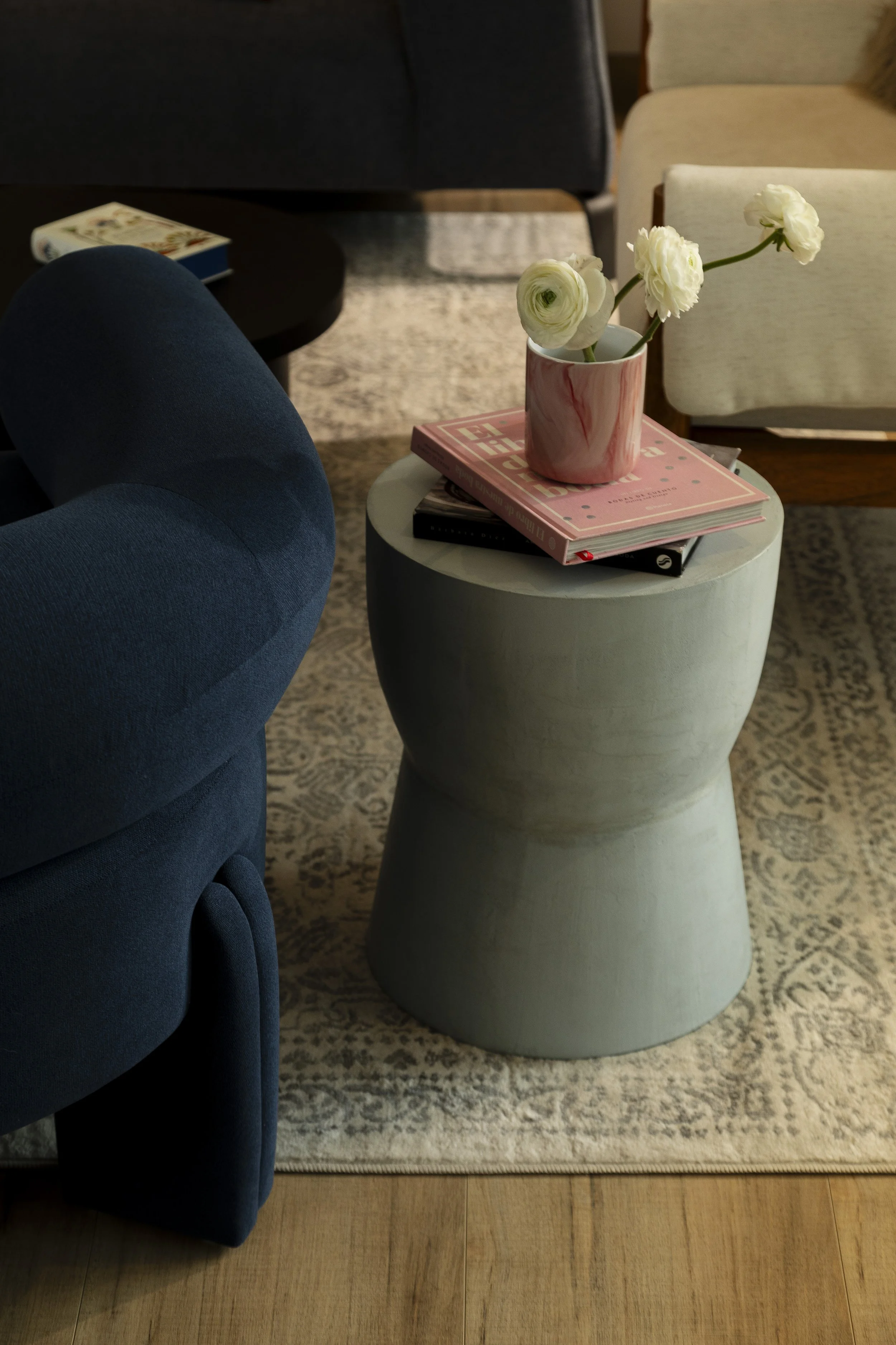 _P9A7894_ABORIGEN_SANTA ANA.jpg