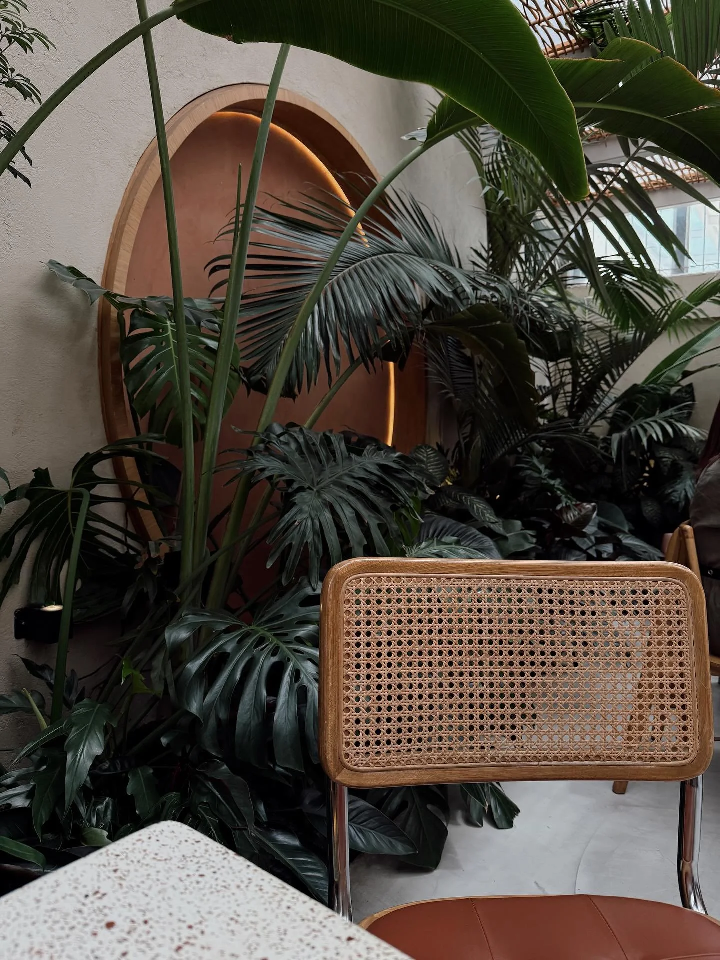 Viaje de inspiraci&oacute;n al 💯 

Nos tomamos un breaksito de la paternidad y del trabajo con mi esposo. Necesit&aacute;bamos resetearnos, cambiar de aire y reconectar con lo esencial&hellip; y ufff, qu&eacute; buen destino fue Colombia para eso.

