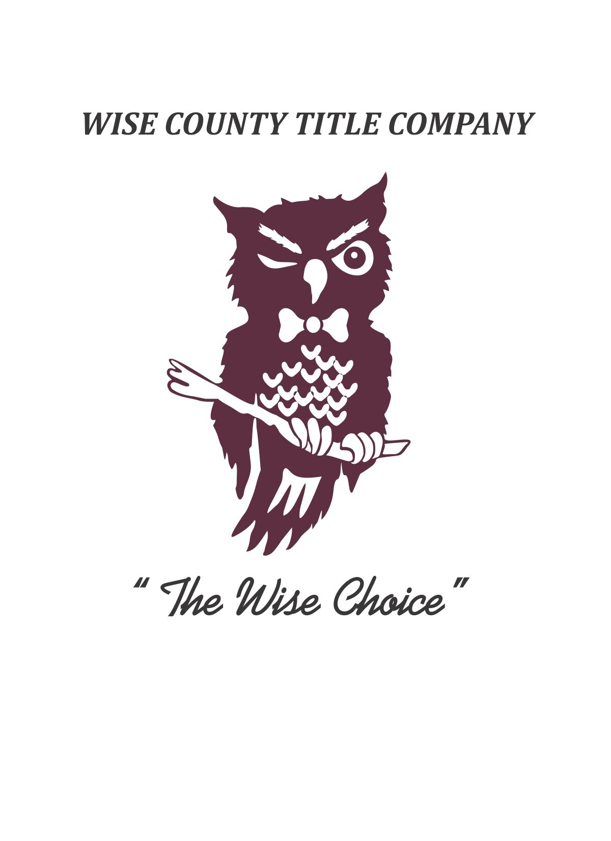 Wise County Owl.jpg