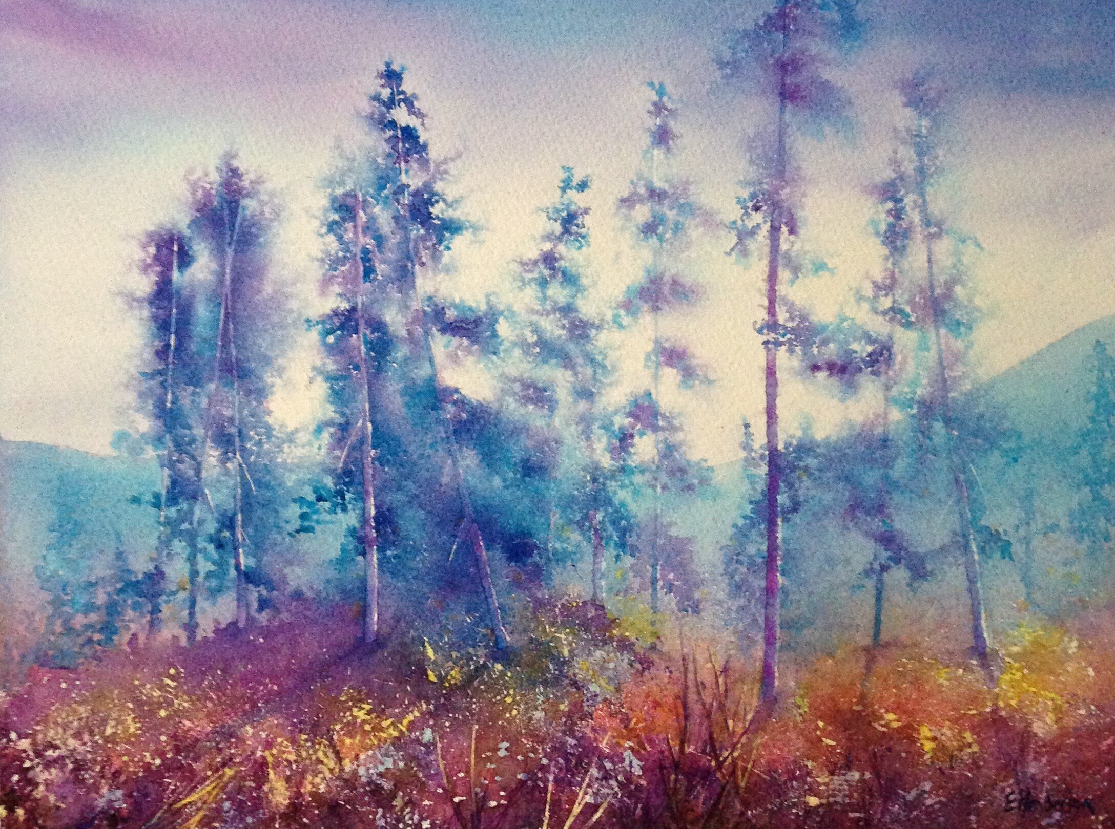 "Early Evening Light"