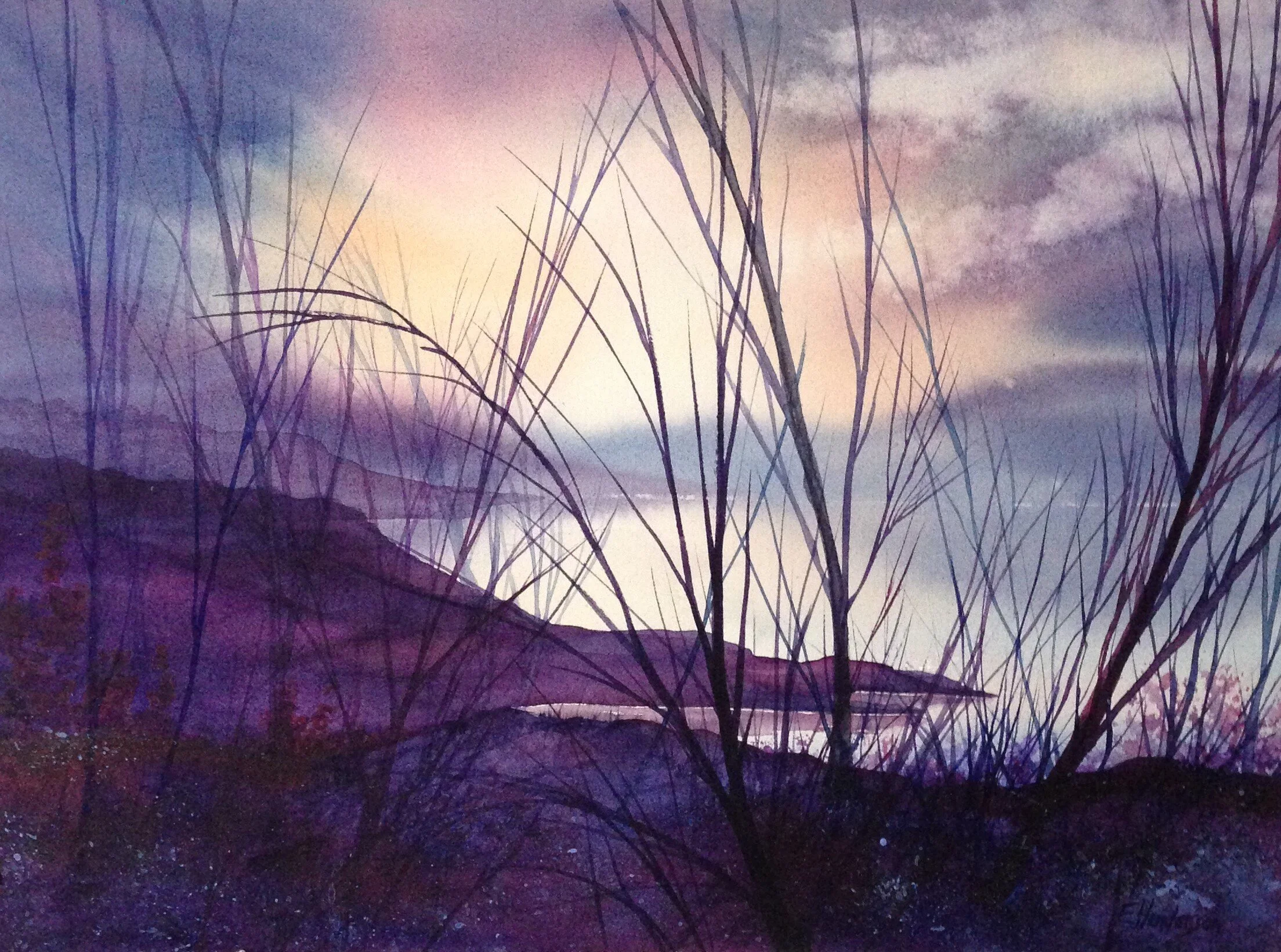 "Lakefront Purple Willows"