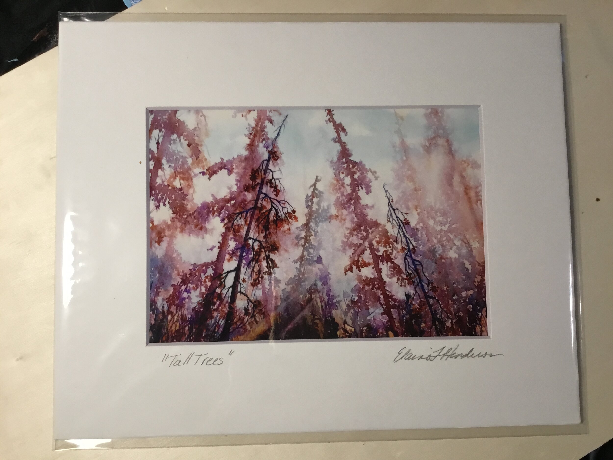image matted 8x10.JPG
