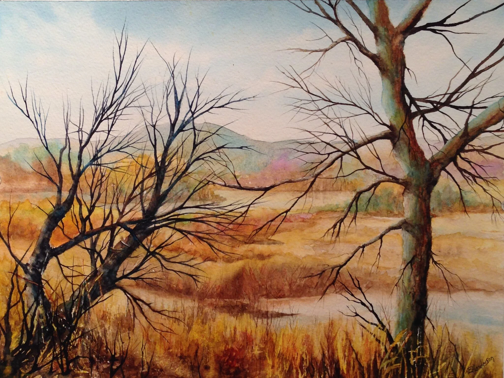 Walk in the Park.JPG