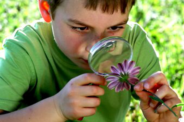 Fun Ideas: Exploring Nature with the Kids! – Part | Little