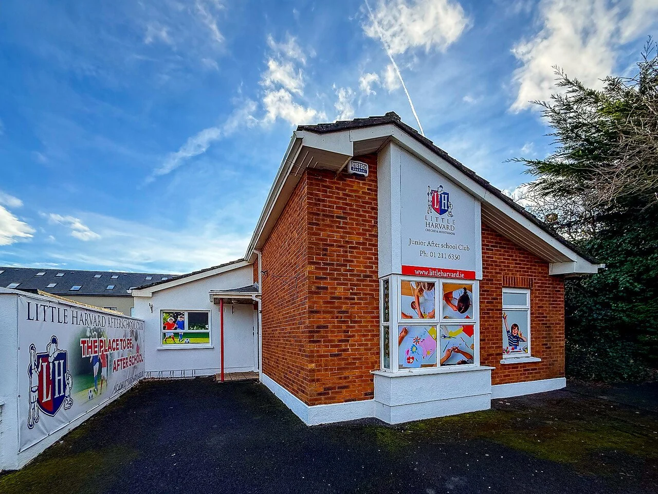 large-IMG_2982 2.jpg