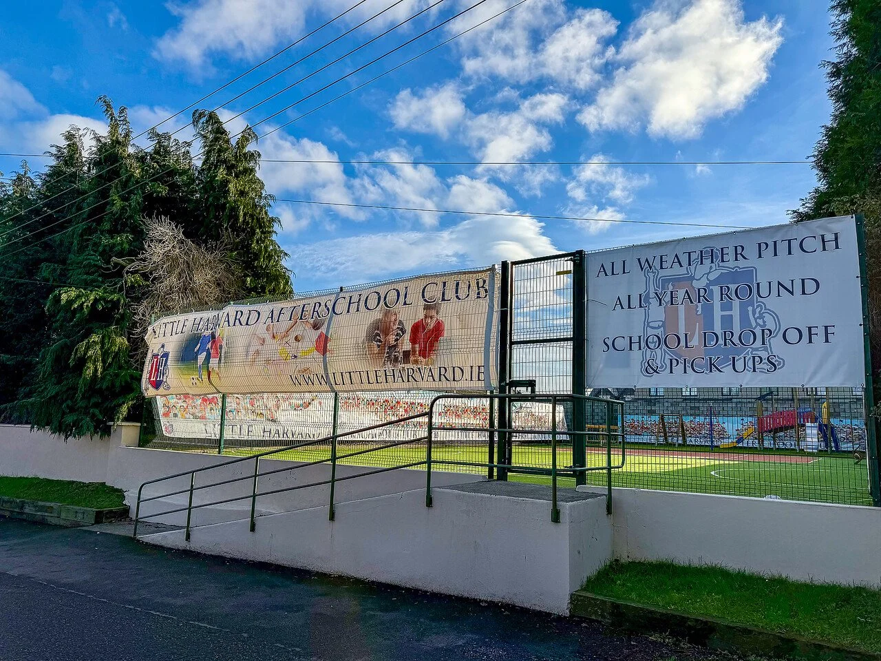 large-IMG_3002 2.jpg