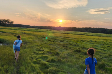 June 2026 Monthly Newsletter