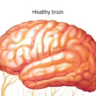 Studying doesn&rsquo;t have to feel heavy.
Press play, breathe, and lock in.
💛 Final stretch &mdash; you&rsquo;re not alone.
🎧 TCI Study Sessions: Finals Edition (link in bio)

#thecollectiveidentity #TCIPlaylists #FinalsWeek #LoFiBeats #FocusVibes