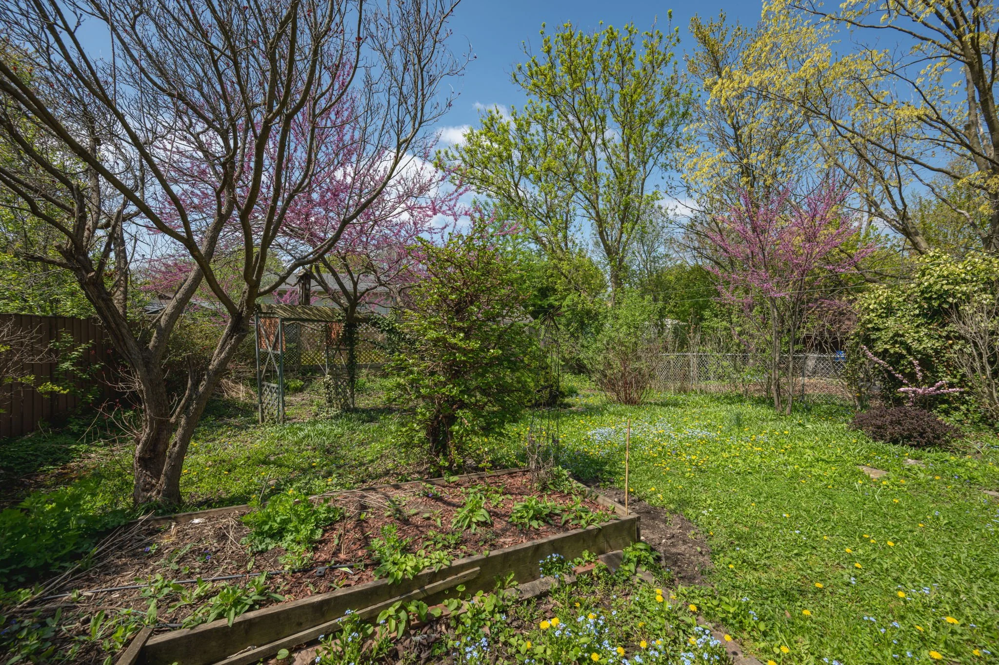 32-60 Brunswick Ave-London ON-Kim Boyer-Your Butler Realty-ARC_7947.jpg