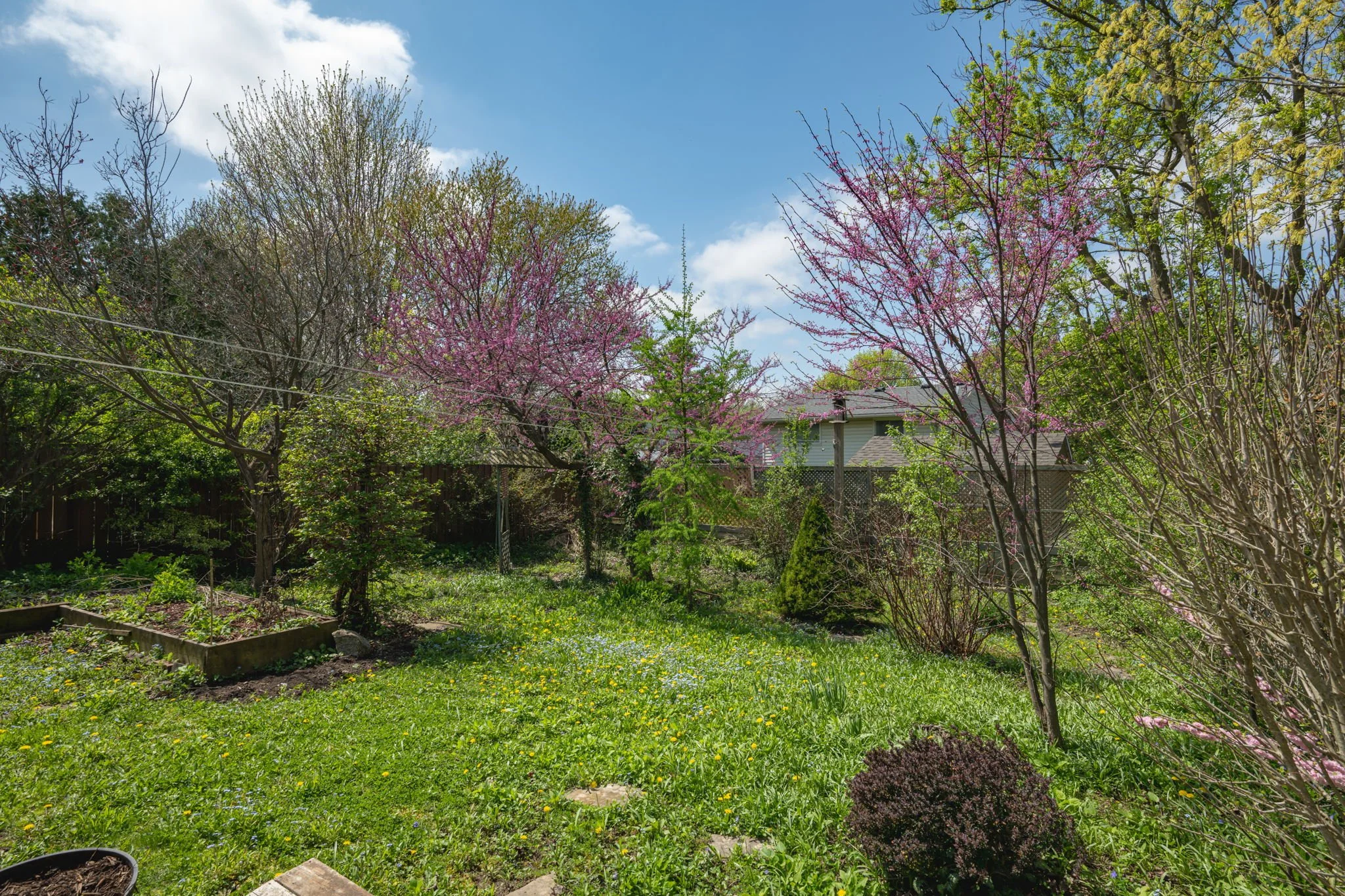 35-60 Brunswick Ave-London ON-Kim Boyer-Your Butler Realty-ARC_7946.jpg