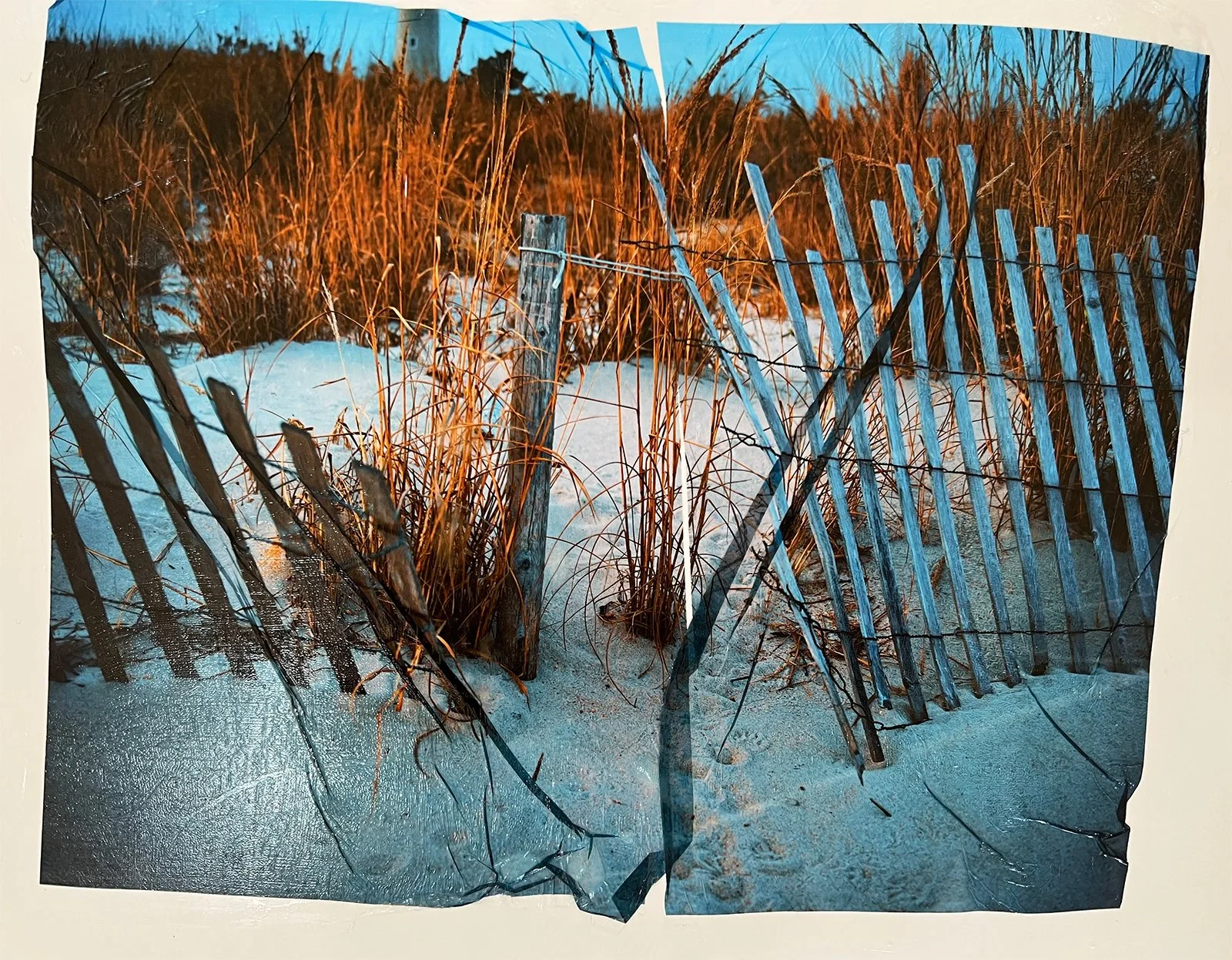 Beach Grass open Fence
