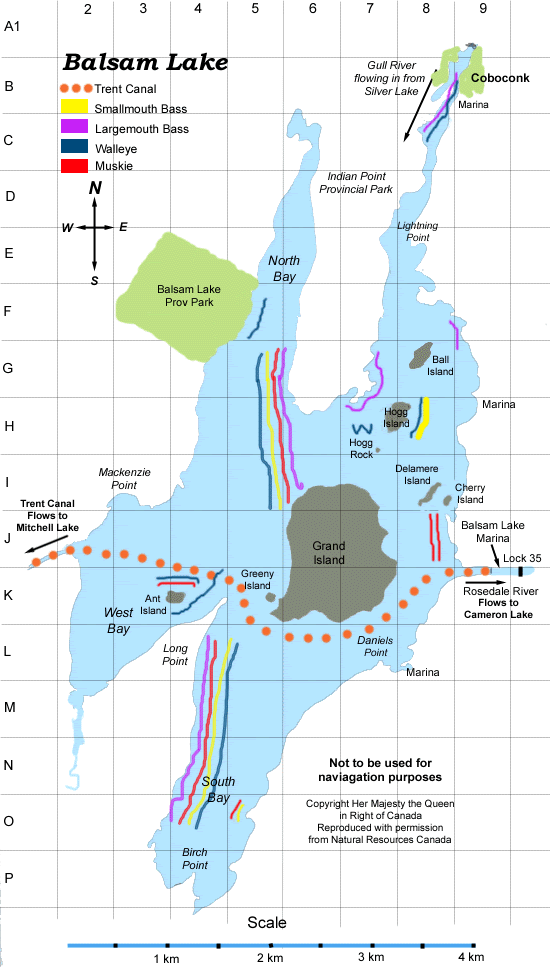 Balsam Lake Fishing locations