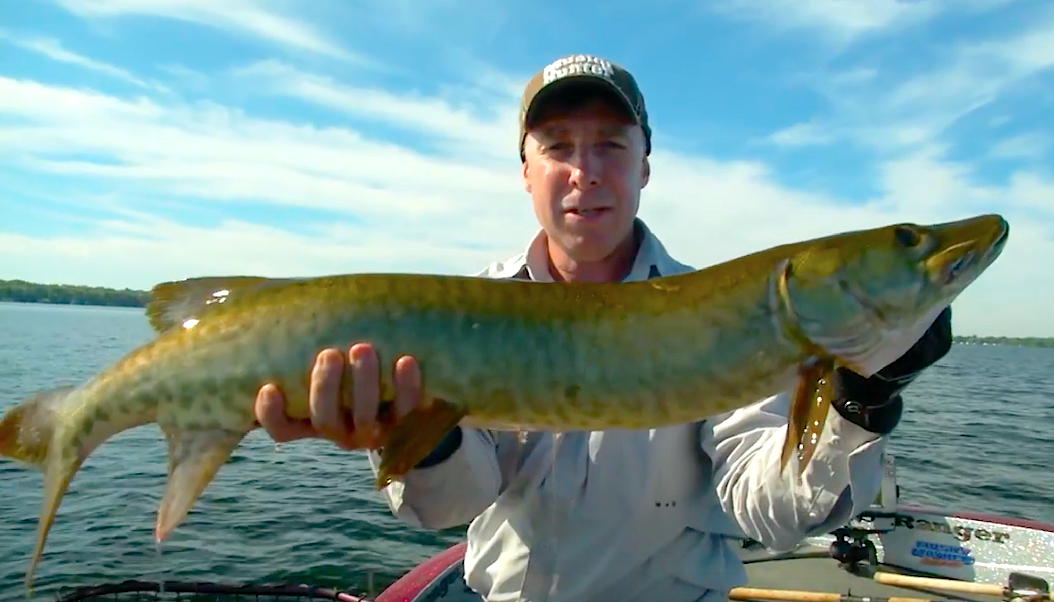 Balsam muskie.png