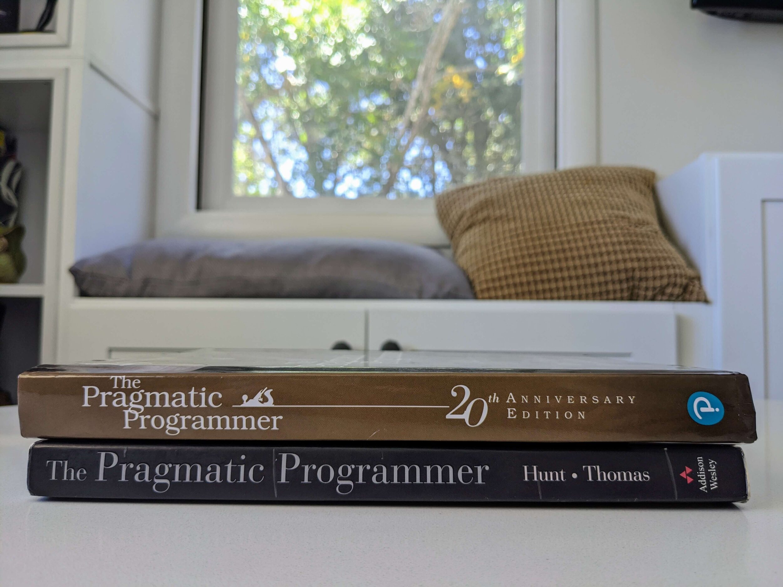 both-versions-of-pragmatic-programmer.jpg