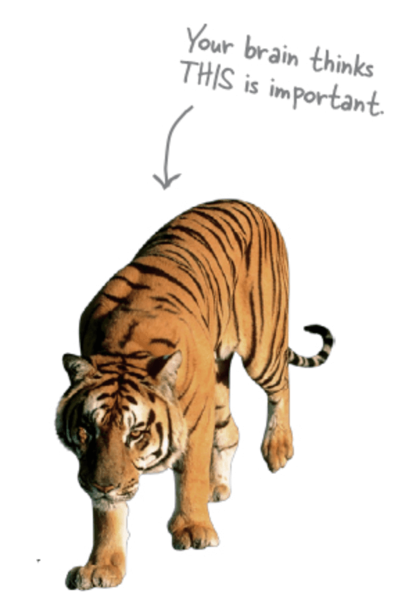 The quote below is next to this image of a tiger. Images are important for our relational thinking.