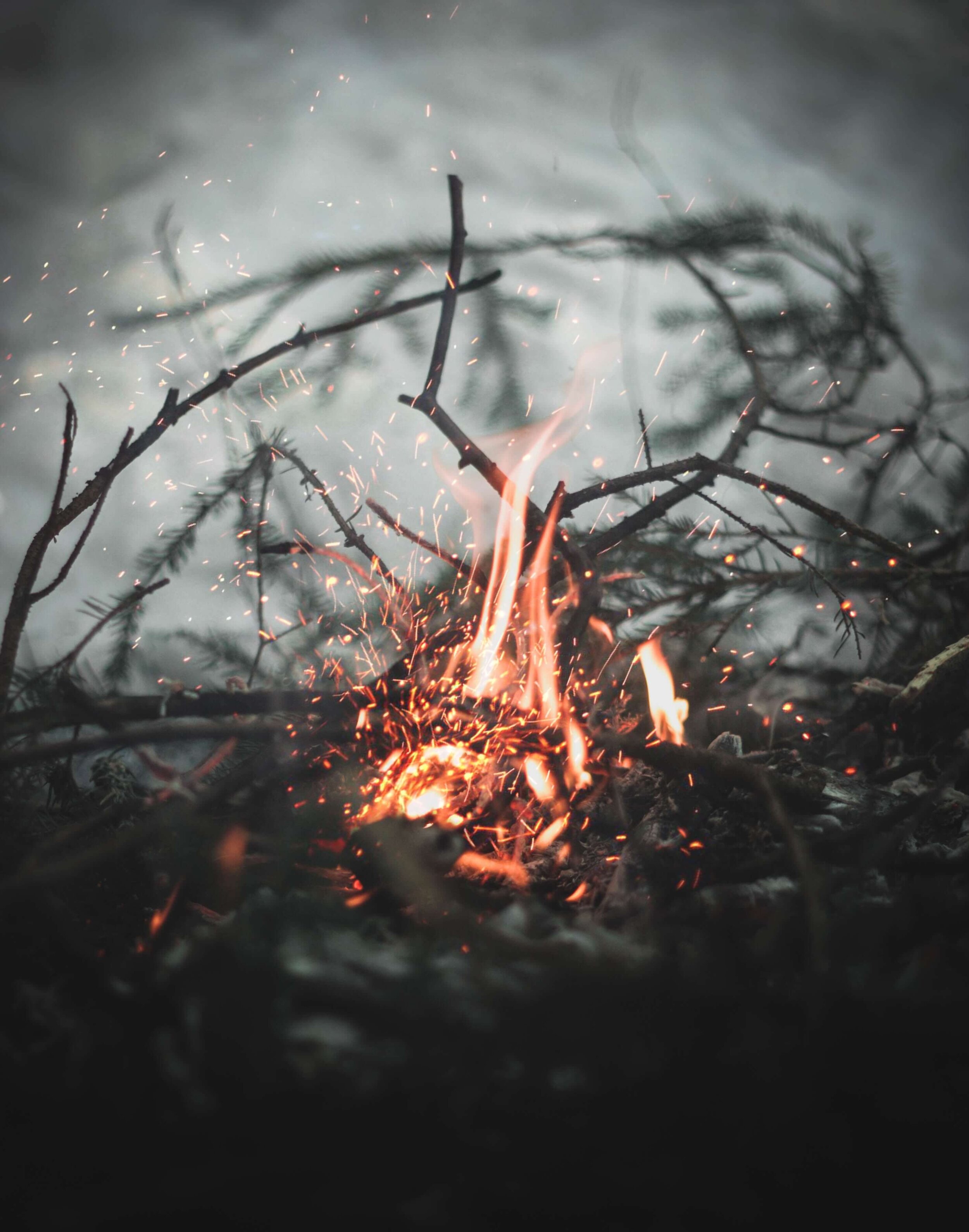 Have the ‘spark’ to learn Ember.js? Ember is not the glow of a fire, but an open source JavaScript framework.