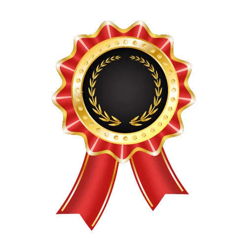 16aef2fa9a4080b5d0c91c1ab13ad417-glossy-award-badge-with-ribbon.jpg