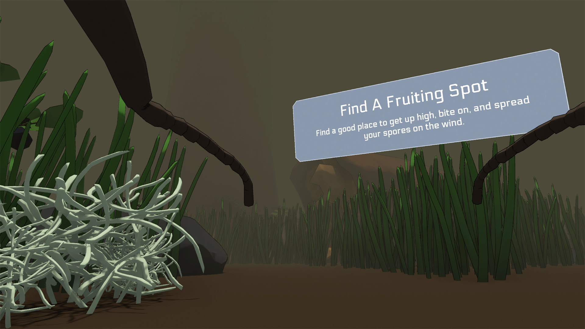 Find A Fruiting Spot.png