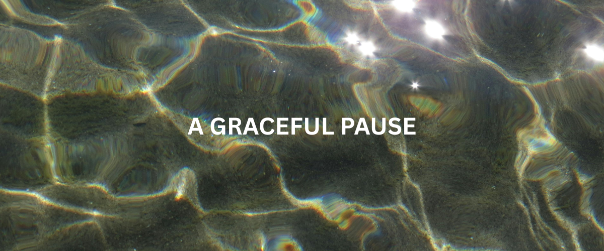 March 2026 | A Graceful Pause