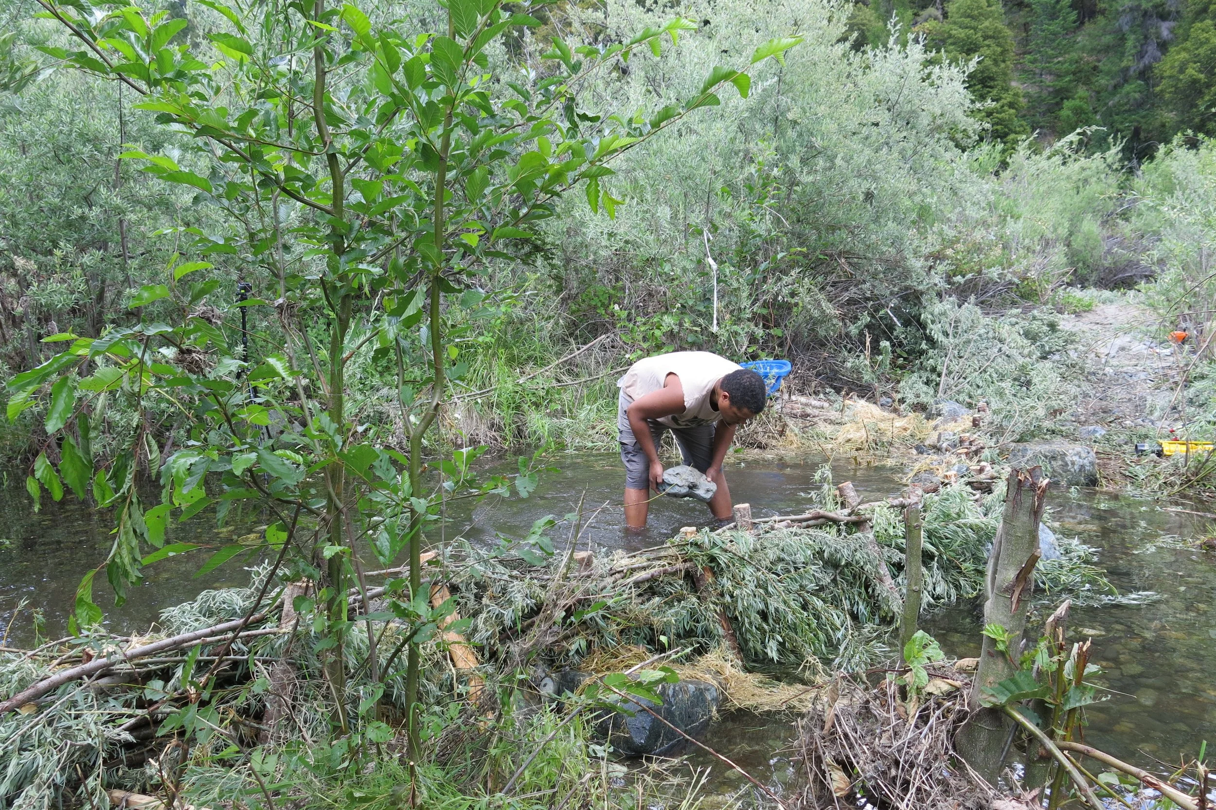 Sandy Bar Creek, BDA