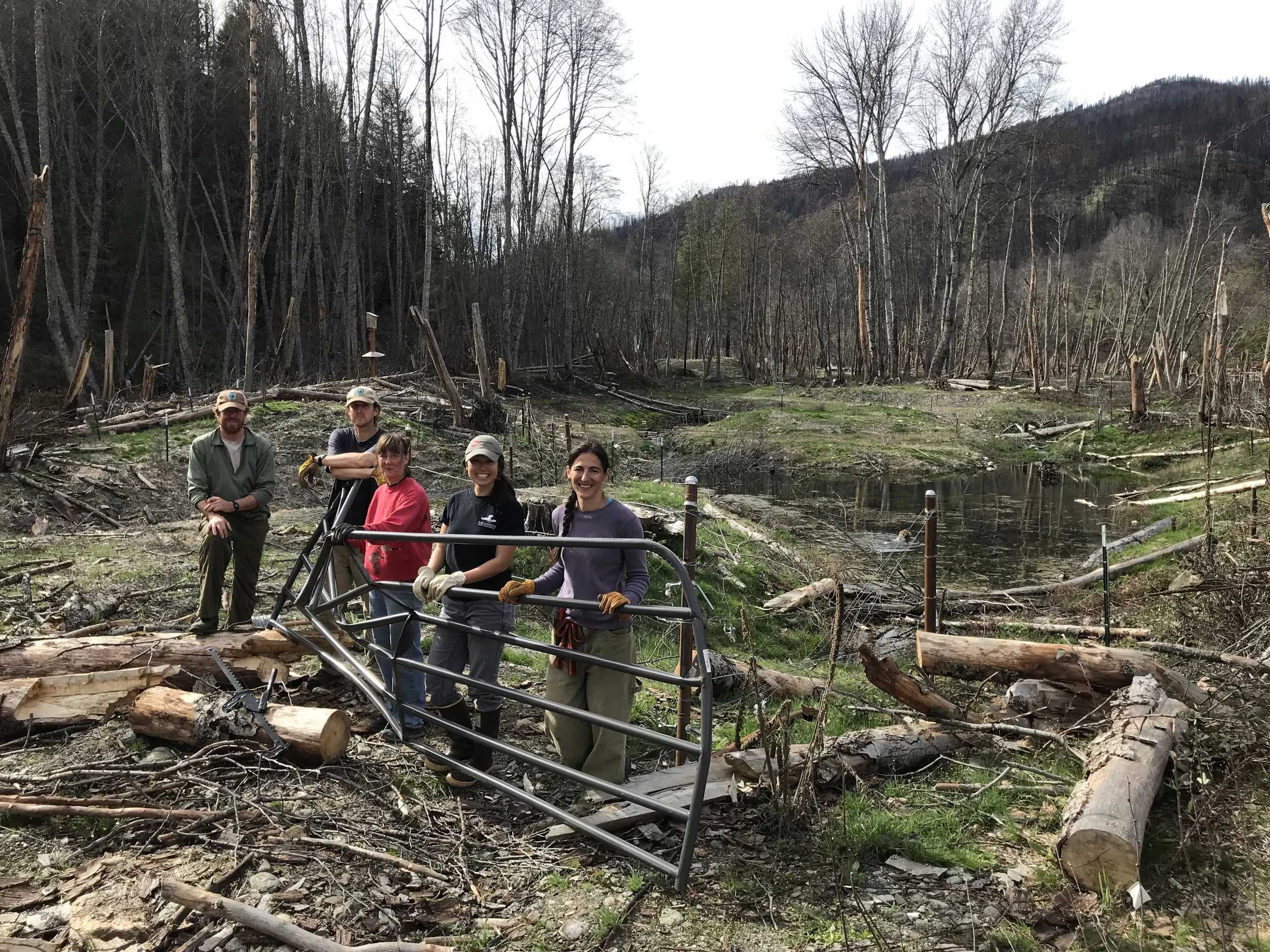 Off-Channel Pond, Horse Creek