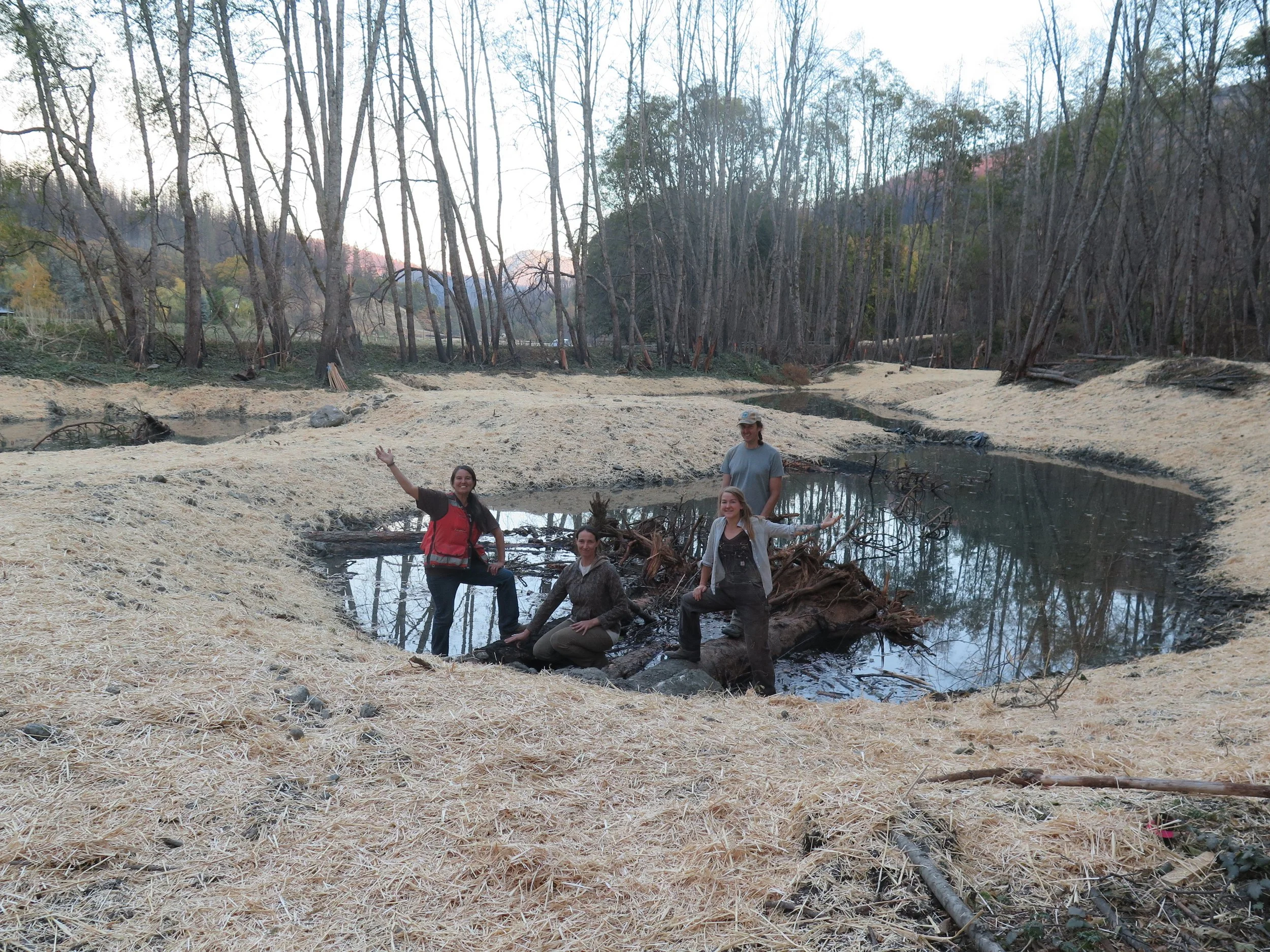 Off-Channel Pond, Horse Creek