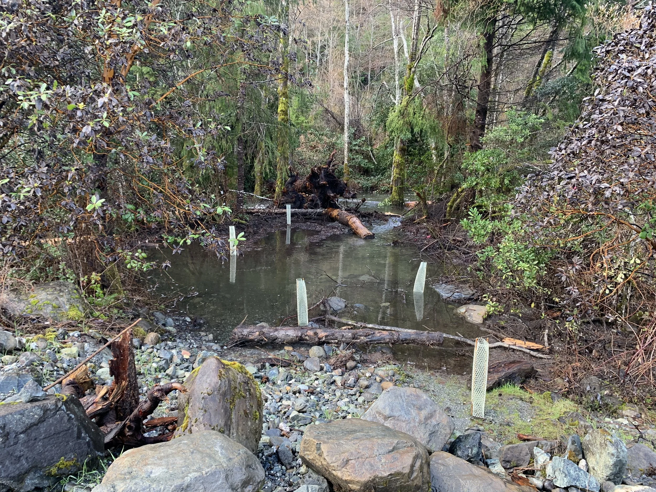 Wood Loading Project Aikens Creek