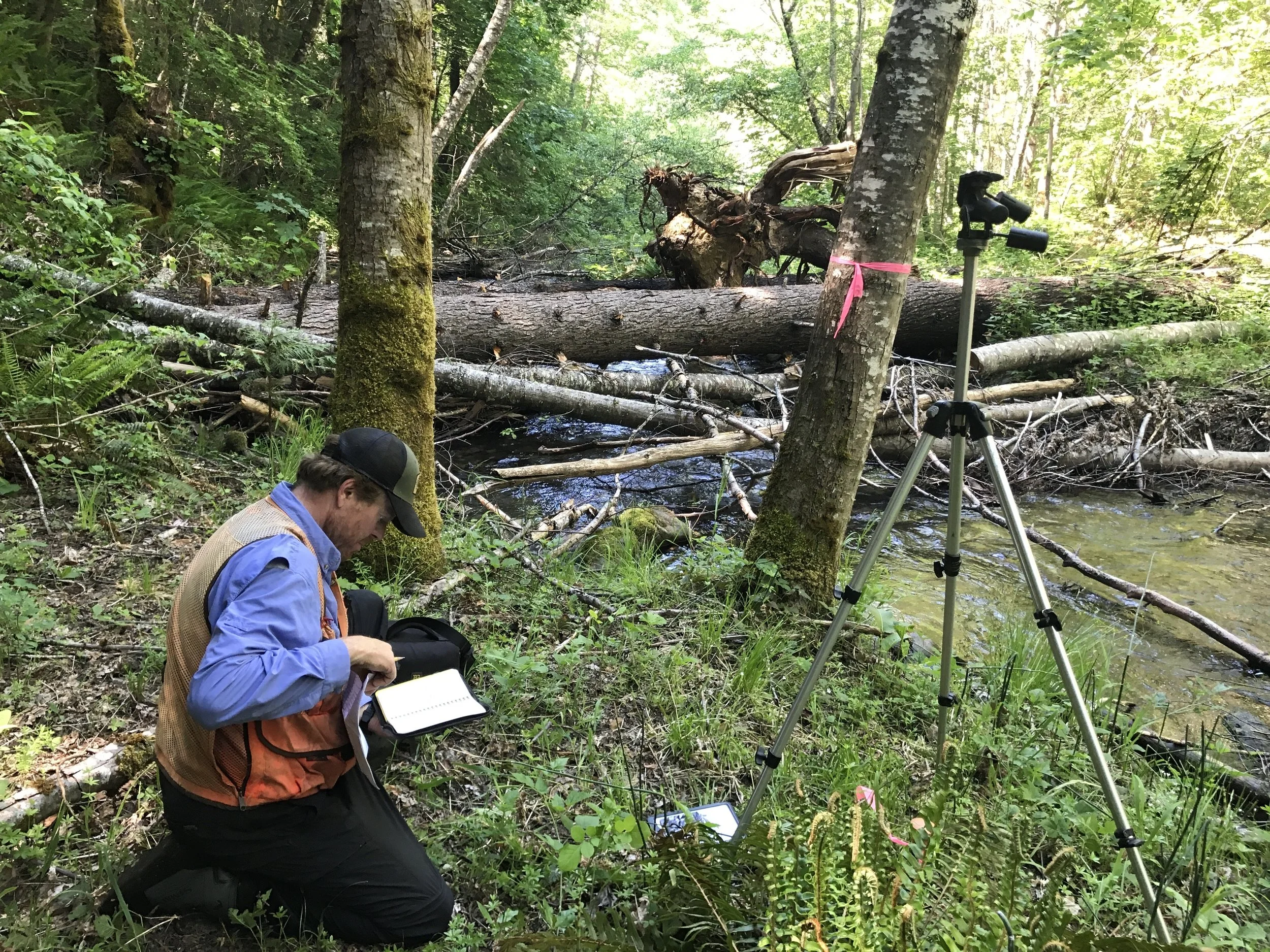 Horse Creek Helicopter Wood Loading Photo Monitoring