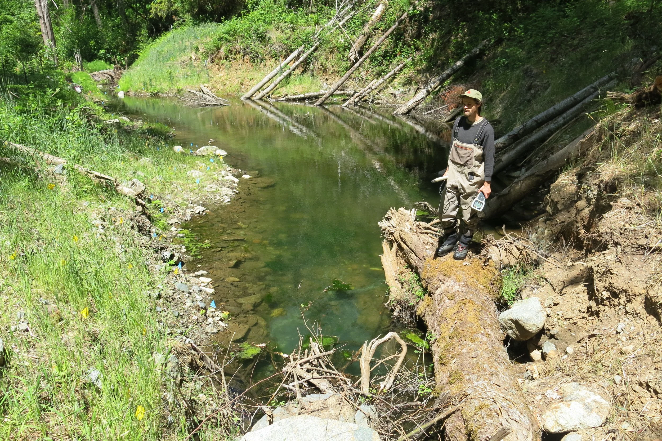 Off-Channel Pond, China Creek