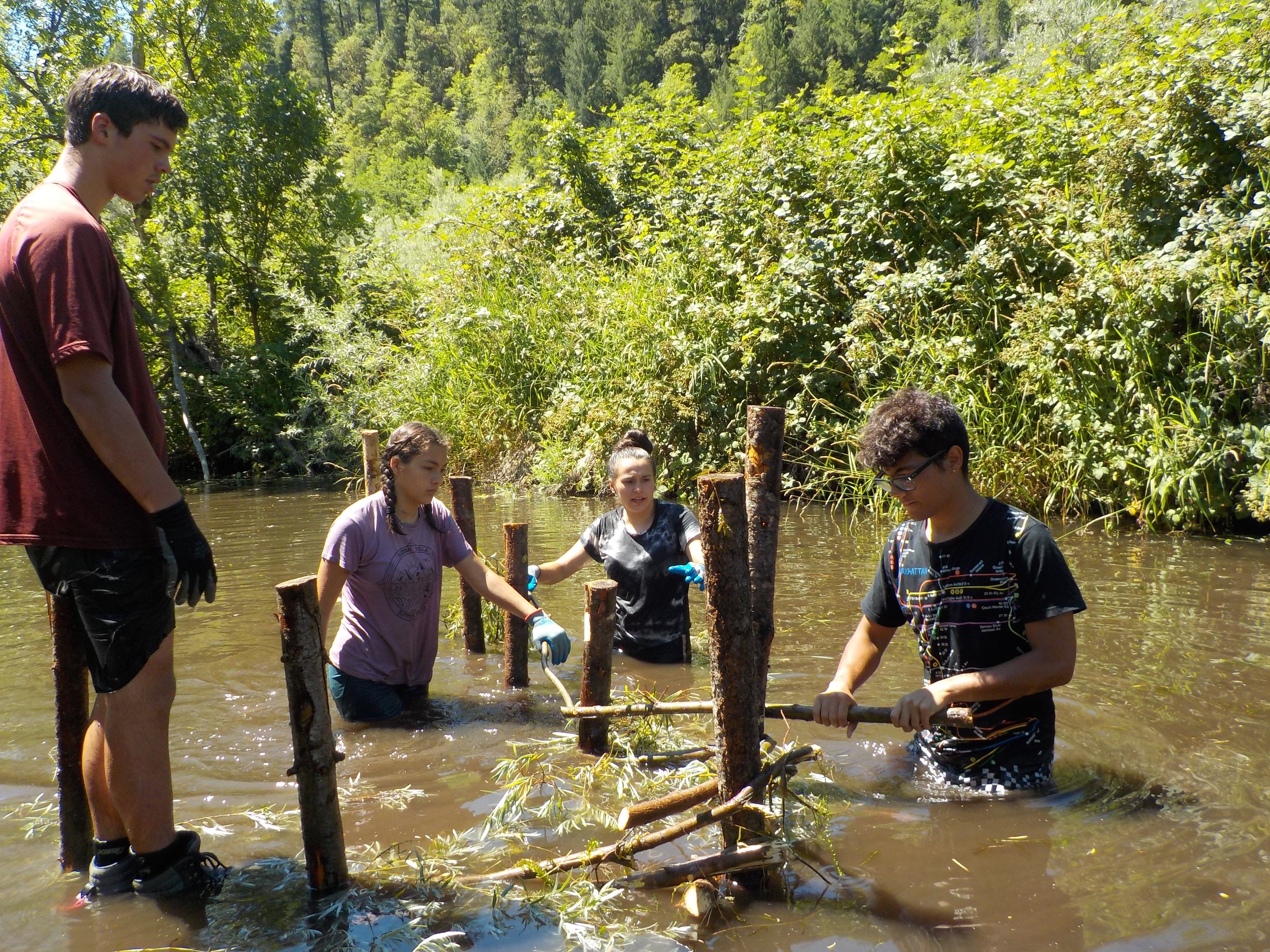  Interns teamed up with the Karuk Tribe DNR to build a Beaver Dam Analog (BDA). BDAs mimic beaver dams with the goal of creating summer and winter rearing habitat for salmonids, as well as connecting creeks to their floodplains. 