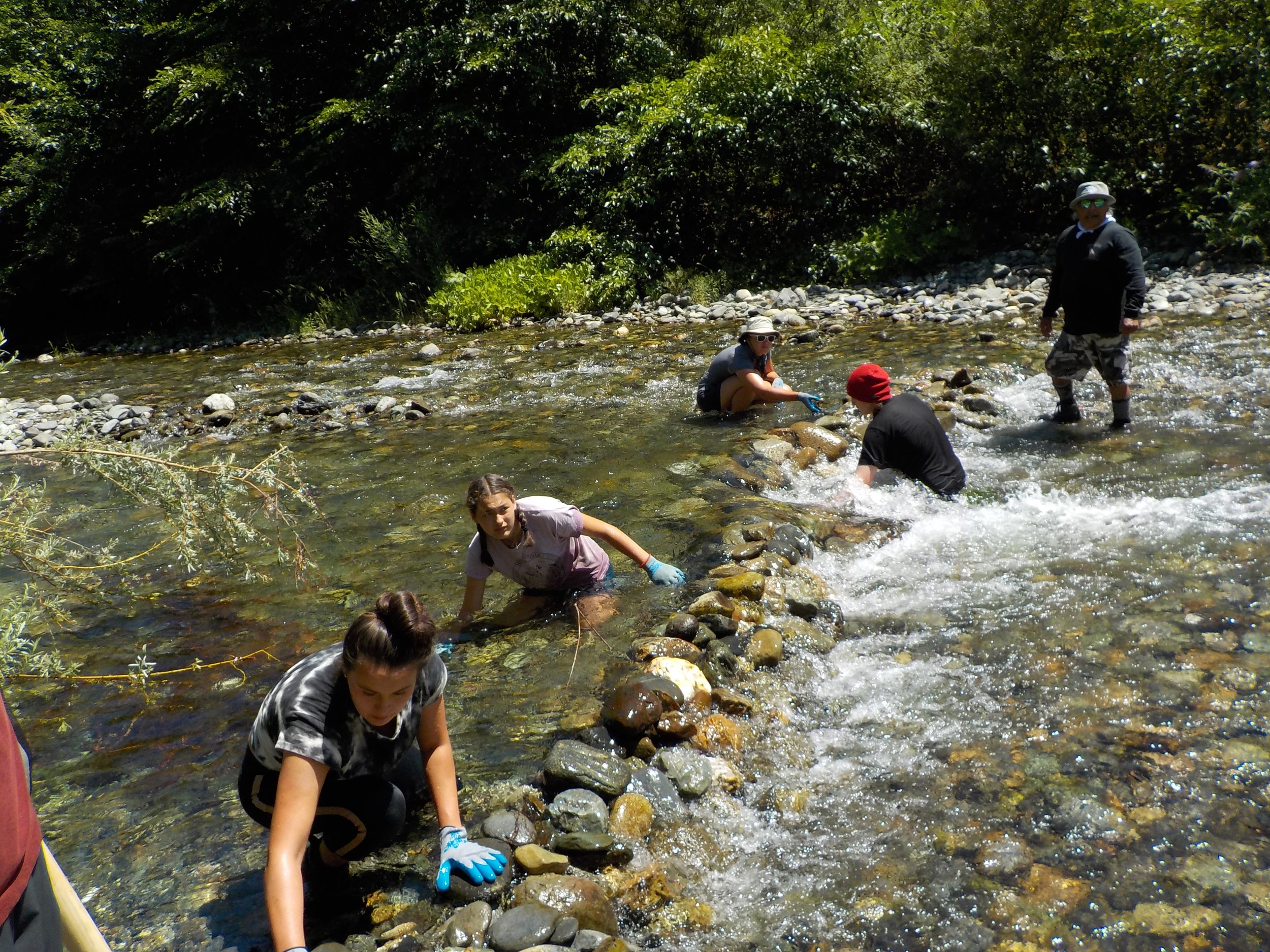  Fish passage improvement projects were popular during the summer heat! Here the interns work on creating pools and deepening pools to increase thermal refugia areas for juvenile salmonids. 