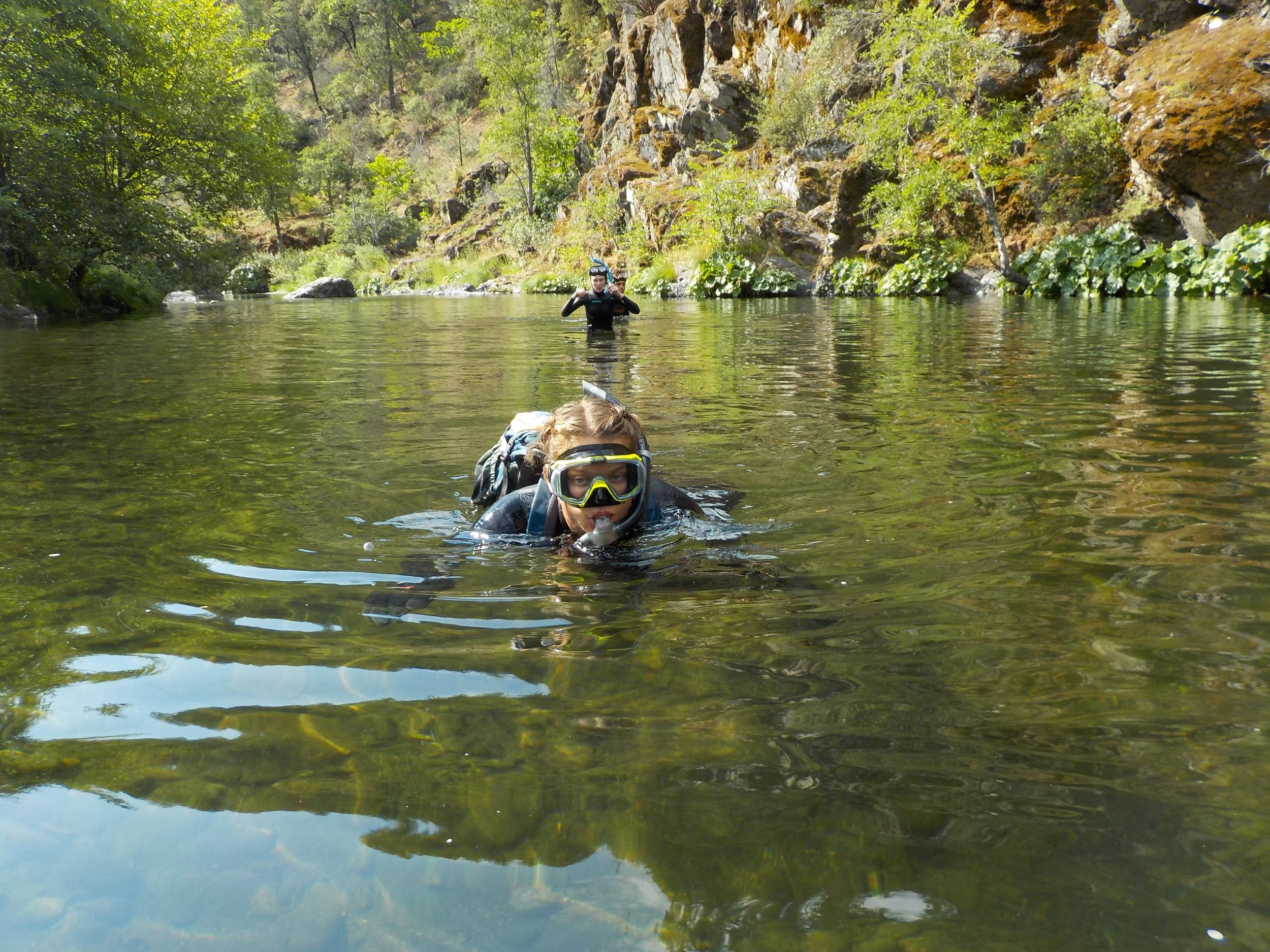  Interns learned underwater fish identification through snorkel surveys on the Klamath River tributaries. 