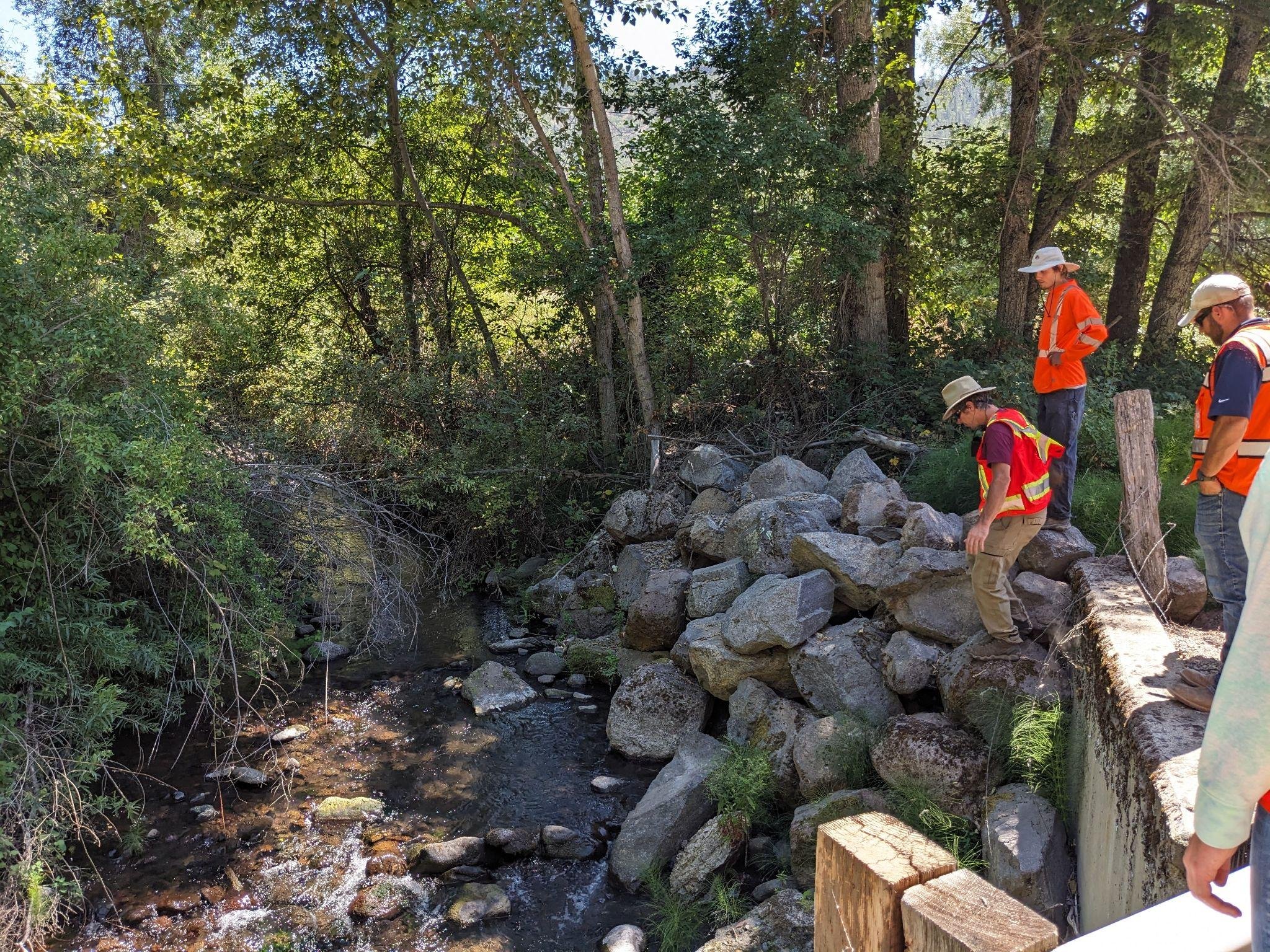 Shovel Creek. Image Credit Owen Harling